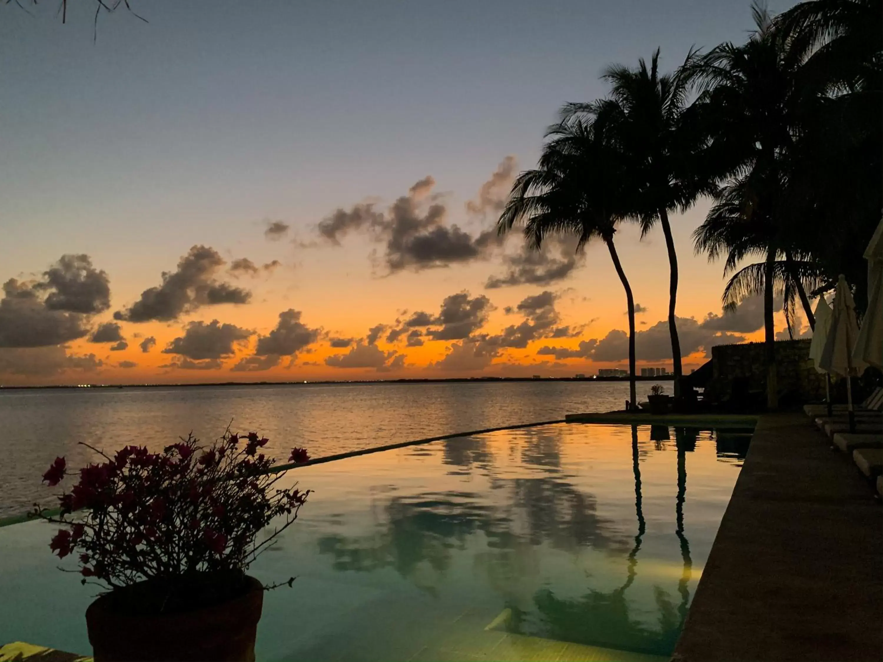 Swimming Pool in Casa Tortugas Boutique Hotel - CANCUN Hidden Gem