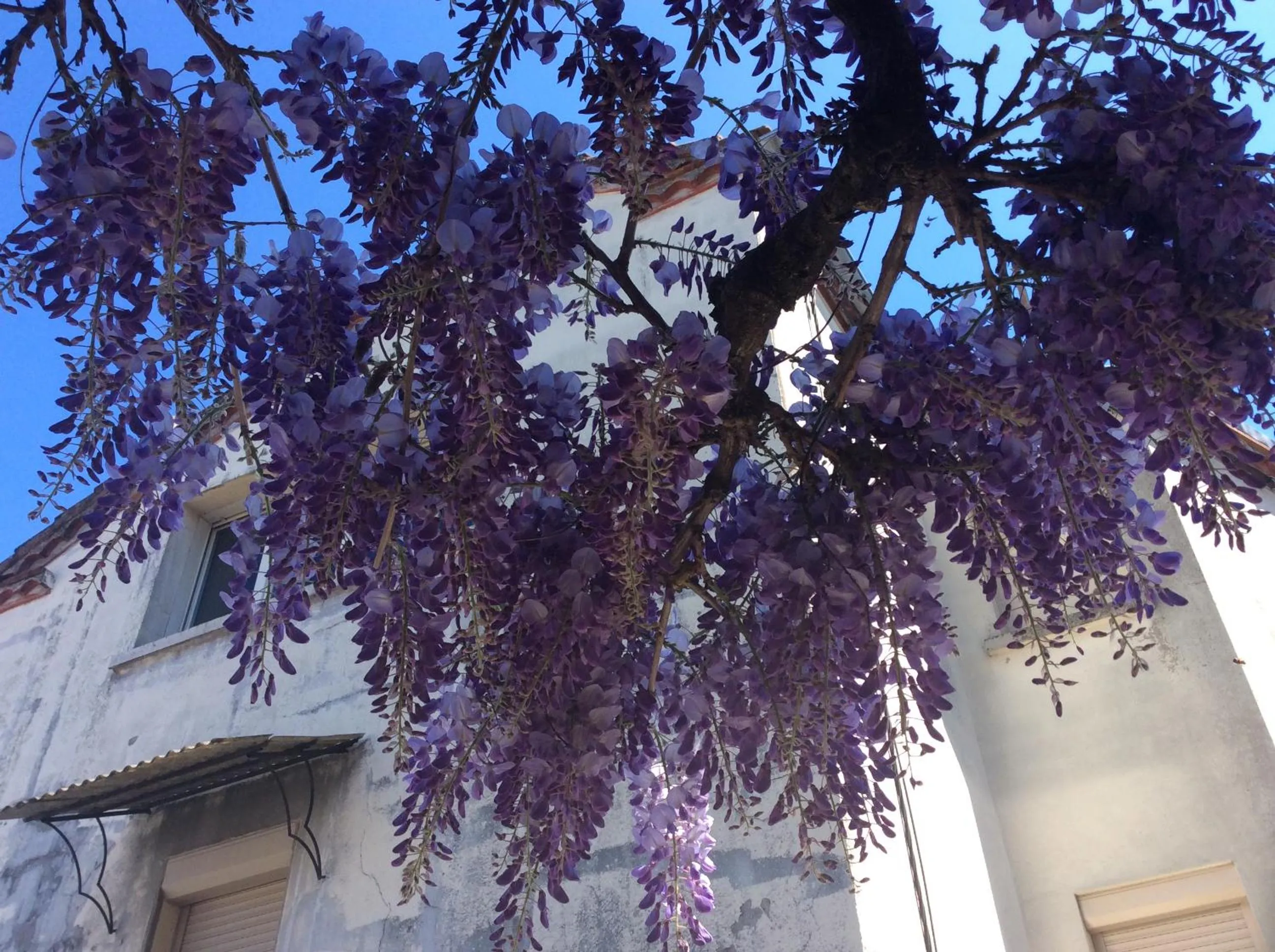 View (from property/room) in Logis Hotels- Auberge de la Tour - Hôtel et restaurant