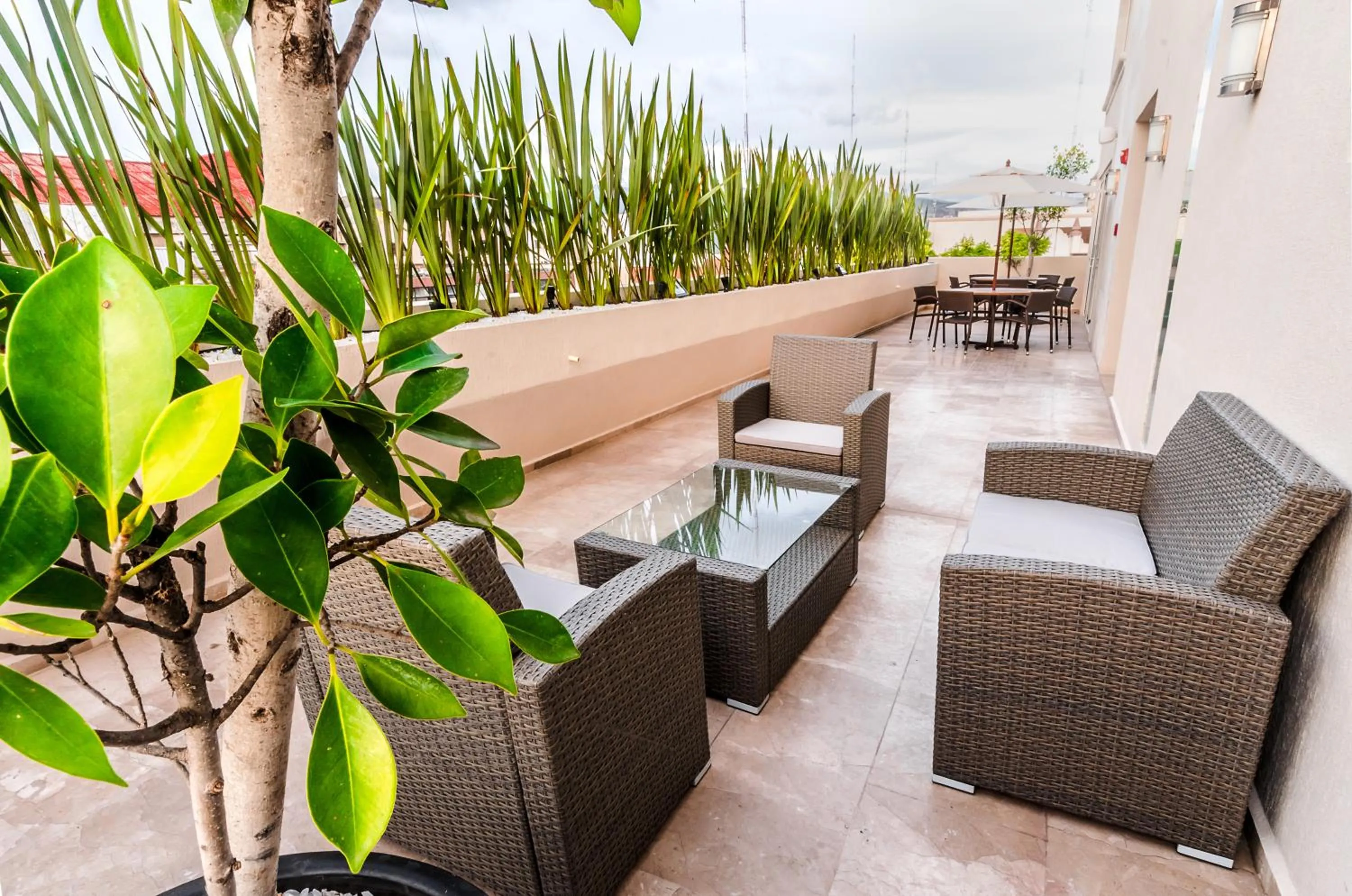 Balcony/Terrace in Hotel Zenith