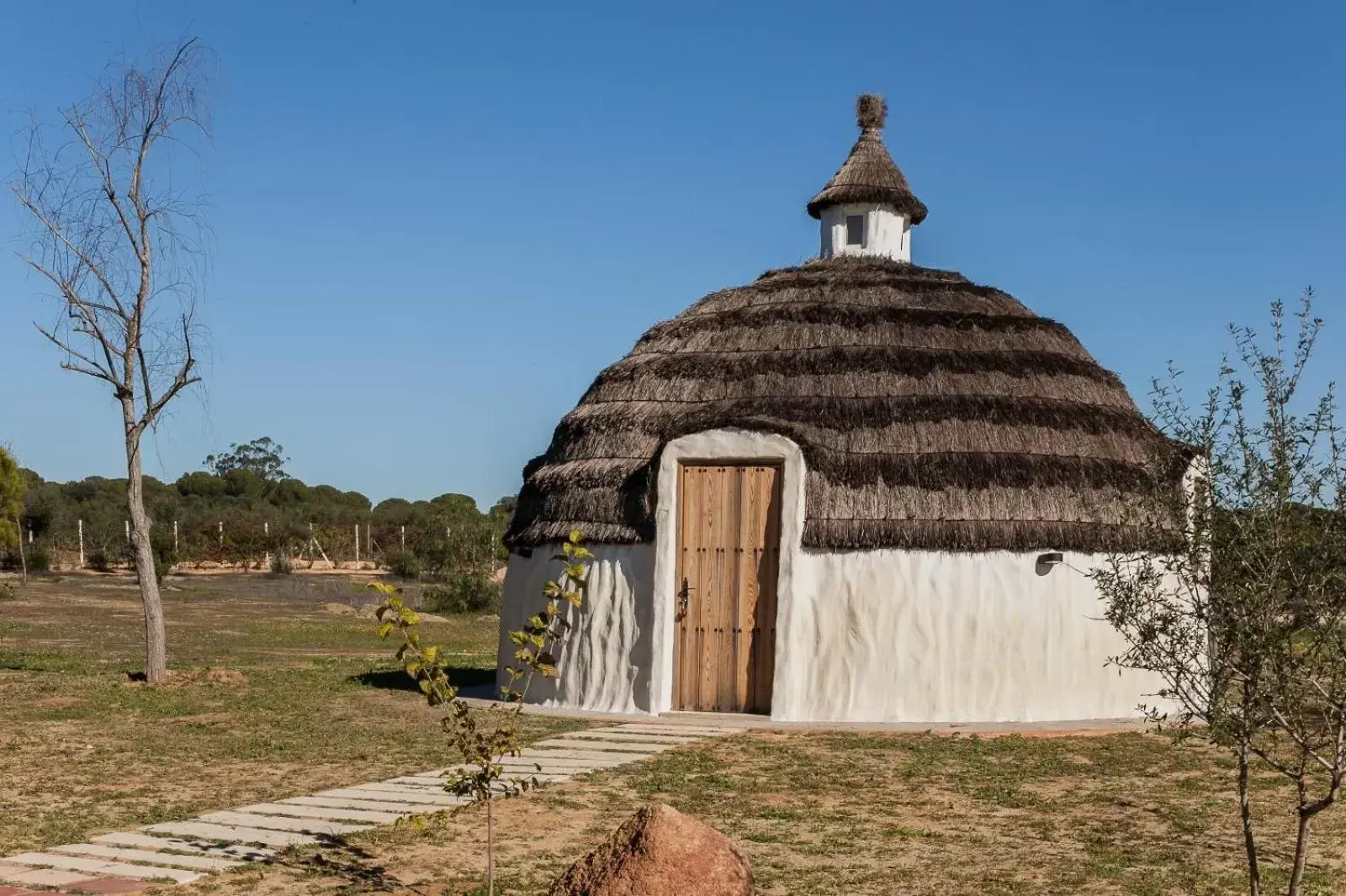 Property Building in Ardea Purpurea