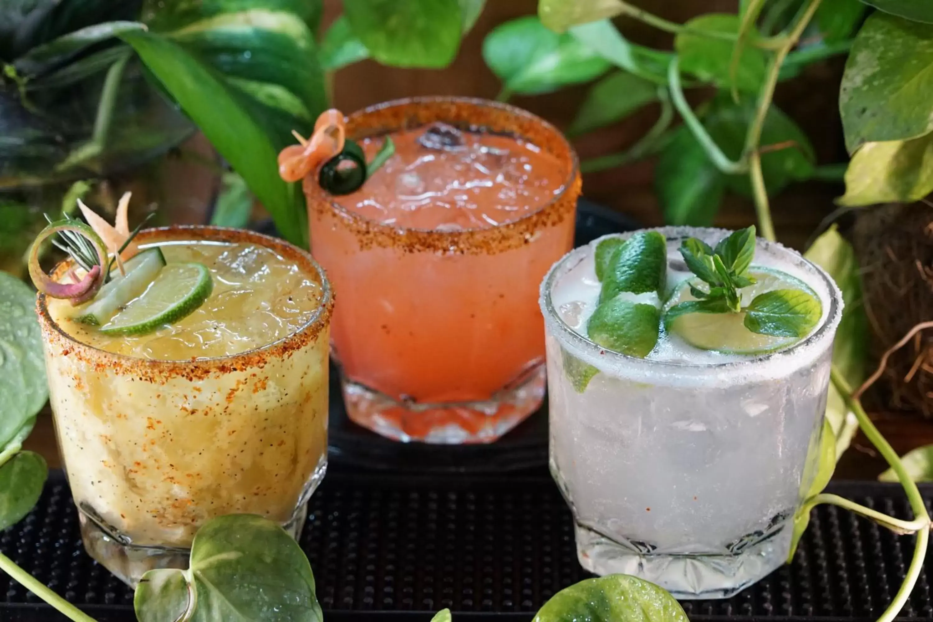 Food and drinks in Selina Sayulita Food and drinks in Selina Sayulita