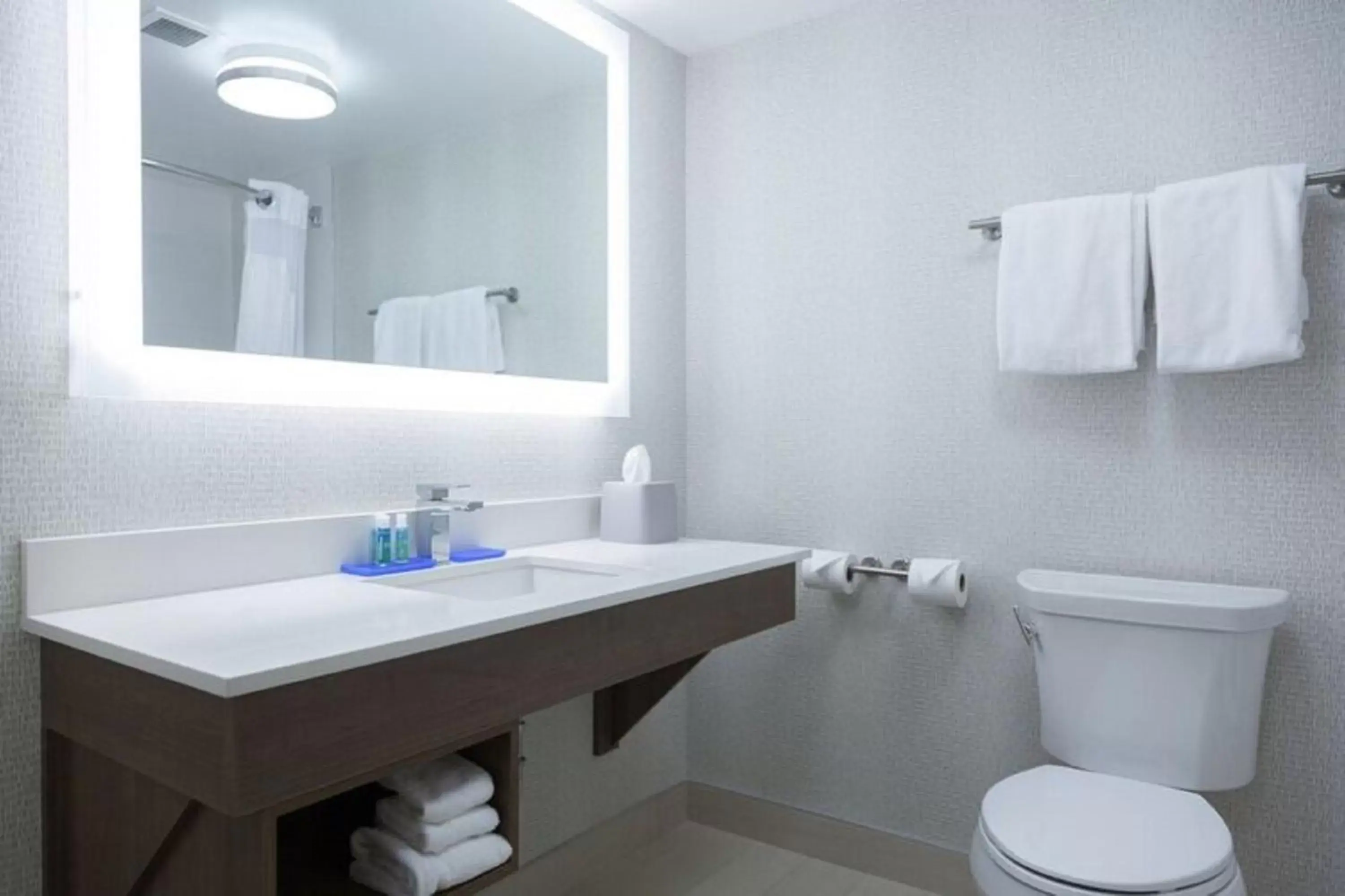 Bathroom in Holiday Inn Express Hotel & Suites Charlottetown, an IHG Hotel