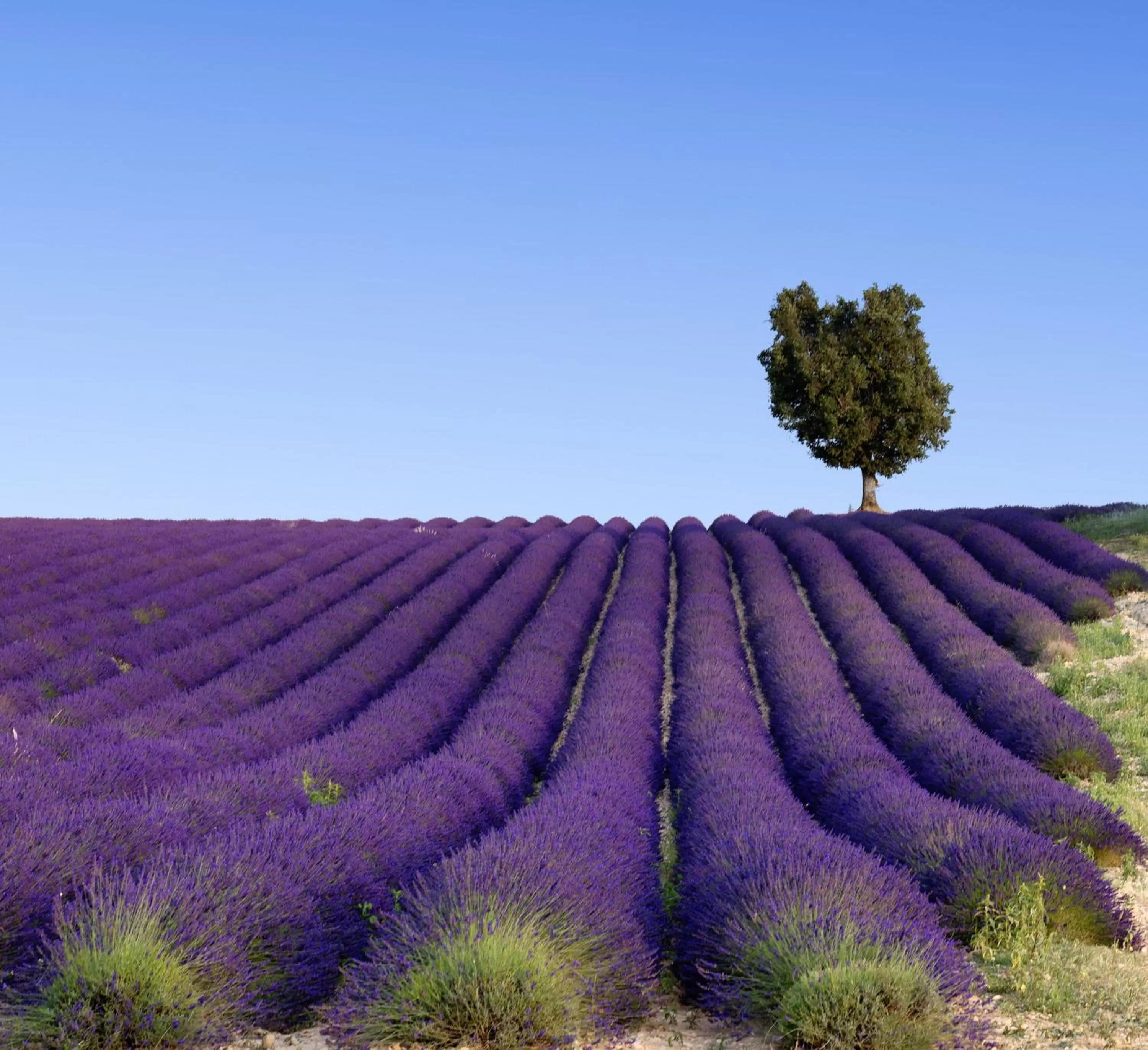 Other in InterContinental Marseille - Hotel Dieu by IHG