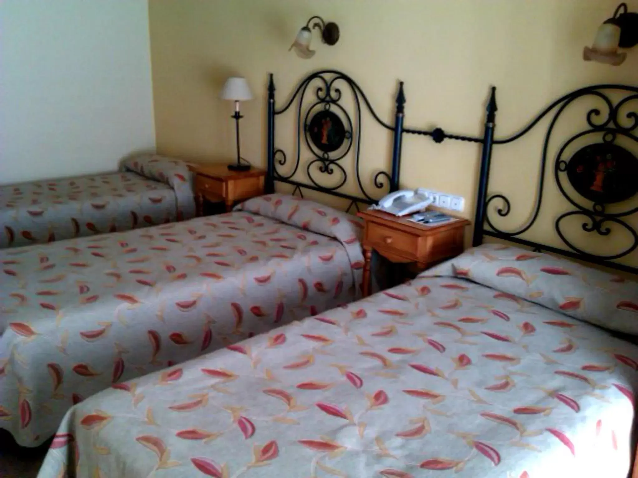 Bed in Coso Viejo