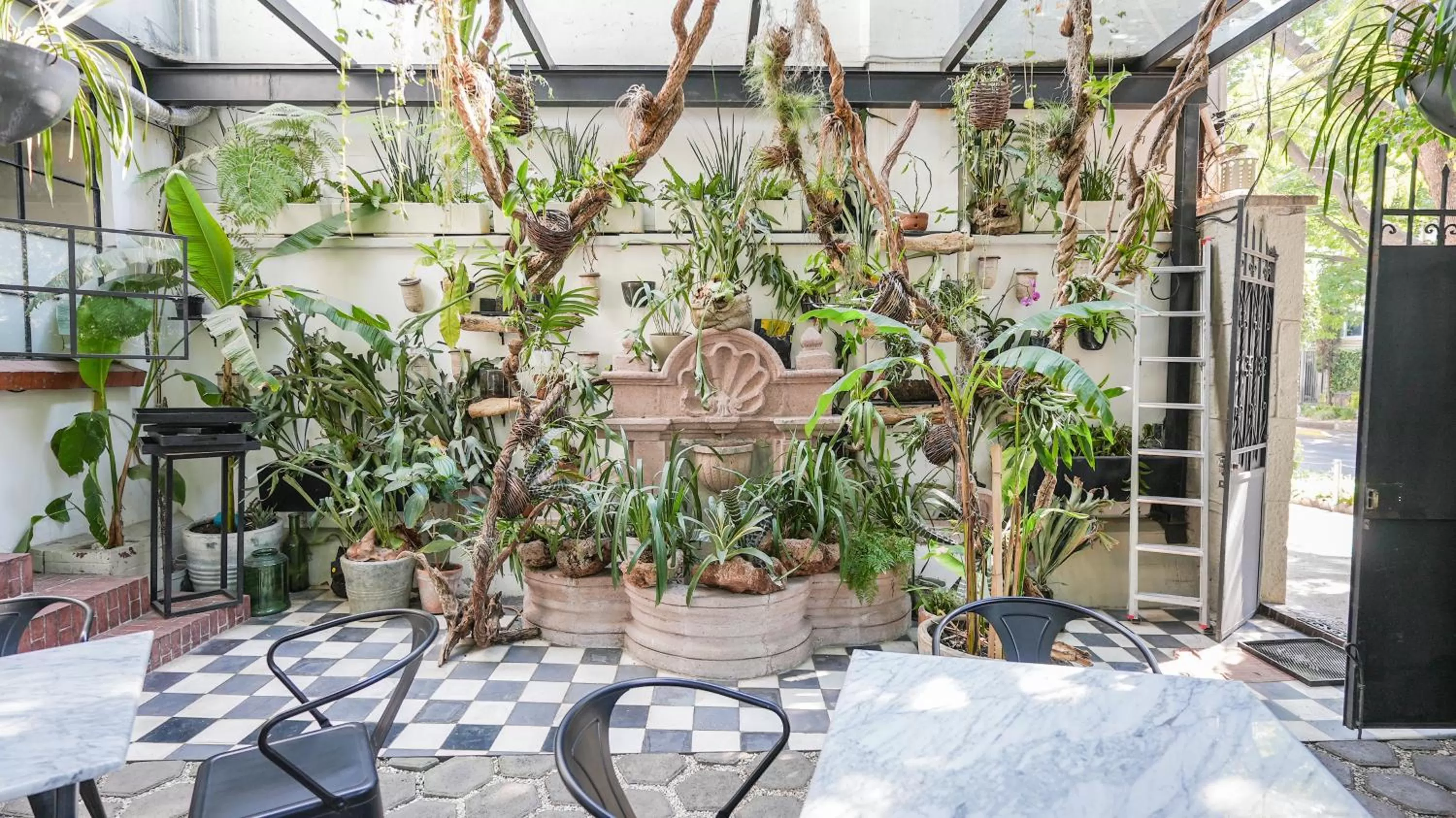 Balcony/Terrace in Orchid House Mexico City