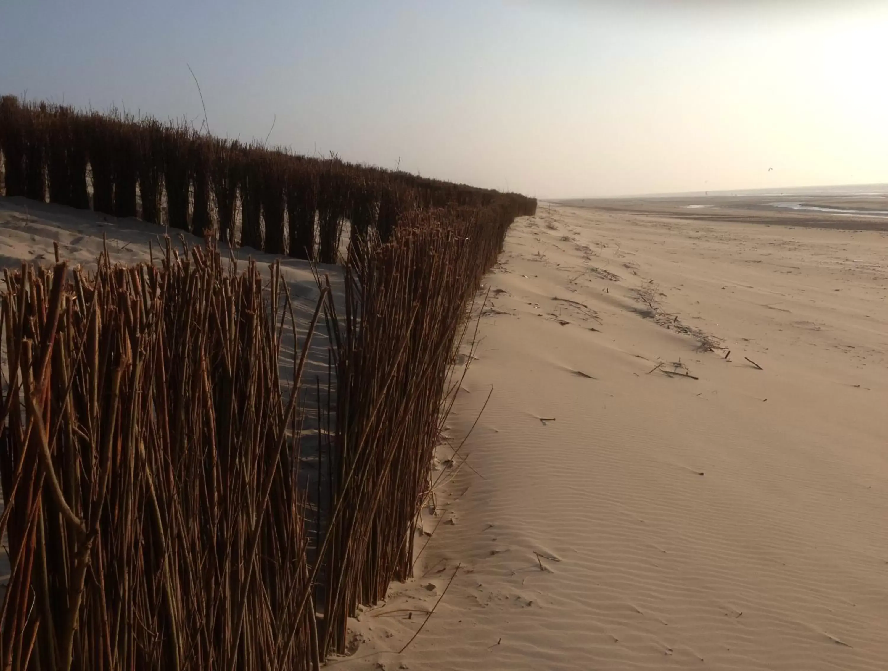 Natural landscape, Beach in Hotel Rubens