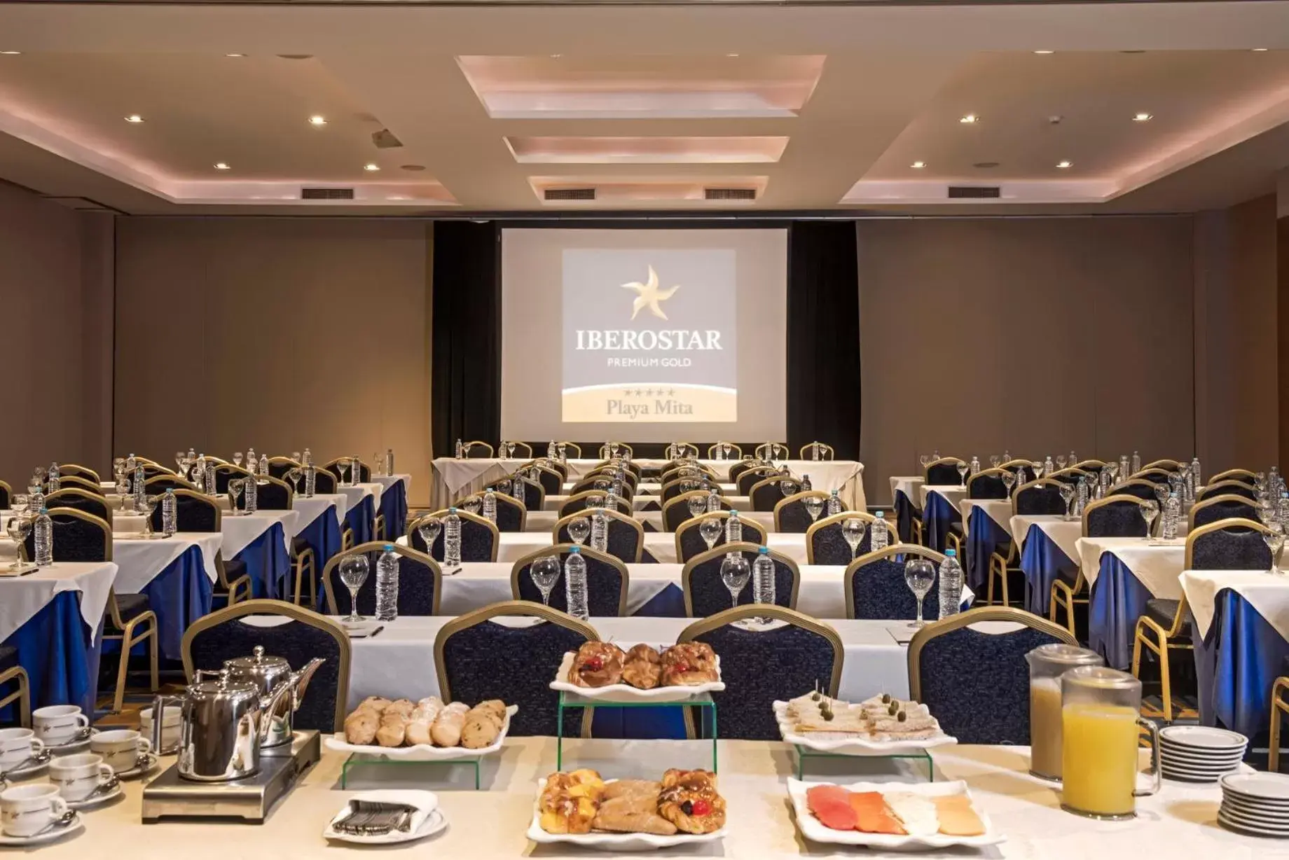 Meeting/conference room in Iberostar Selection Playa Mita