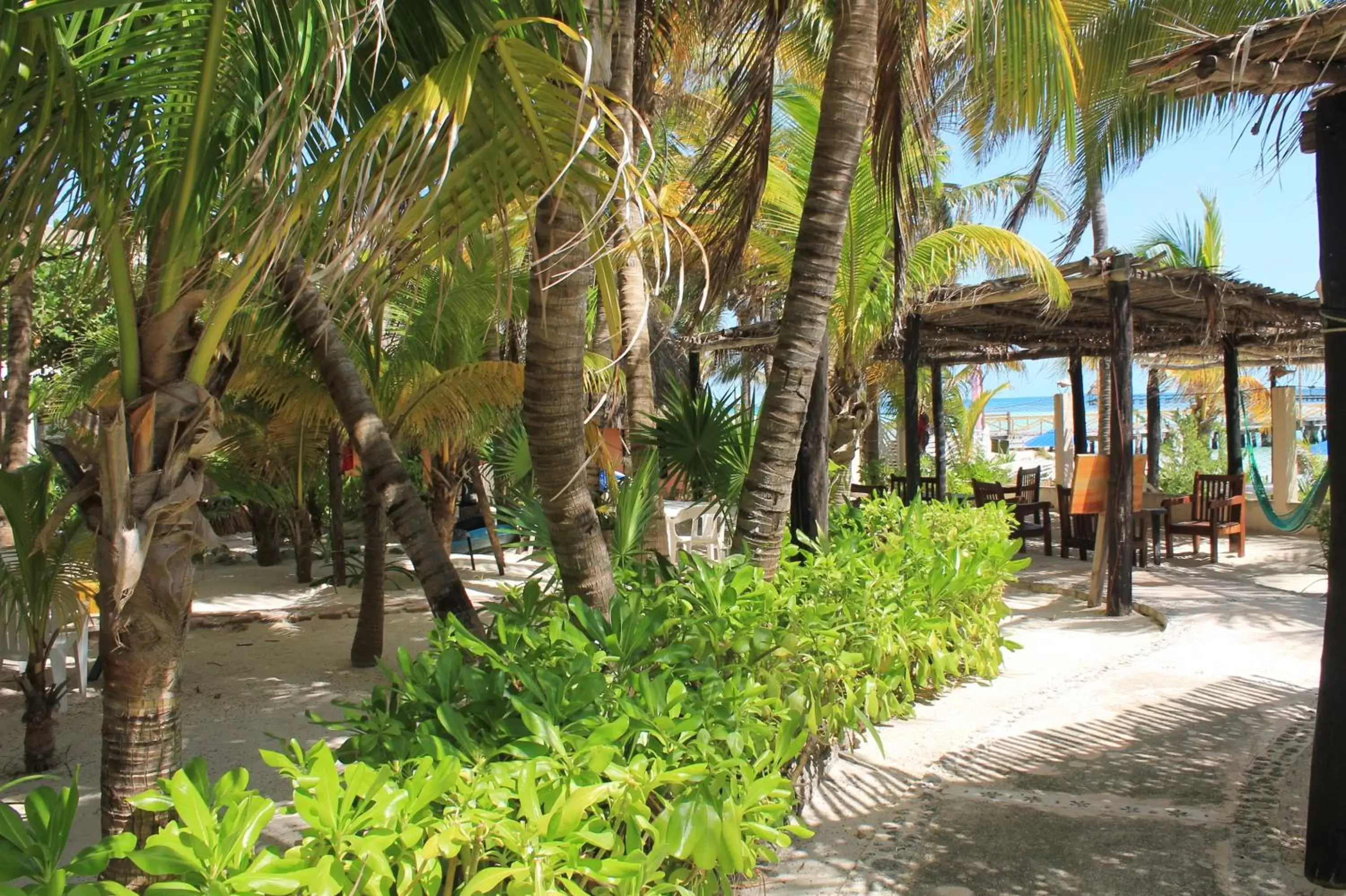 Garden, Beach in Hotel Villa Kiin