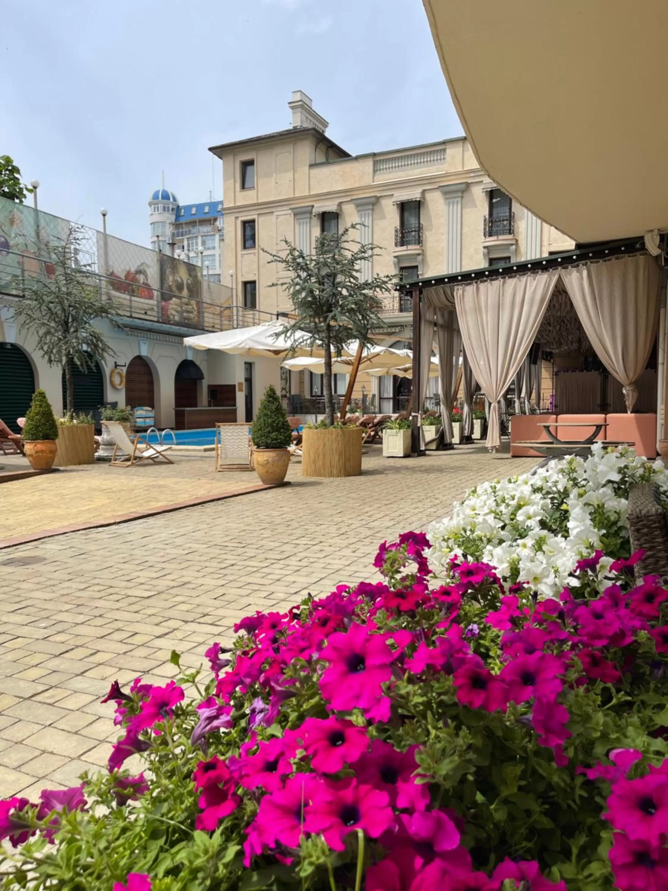 Summer in Arcada Apartments