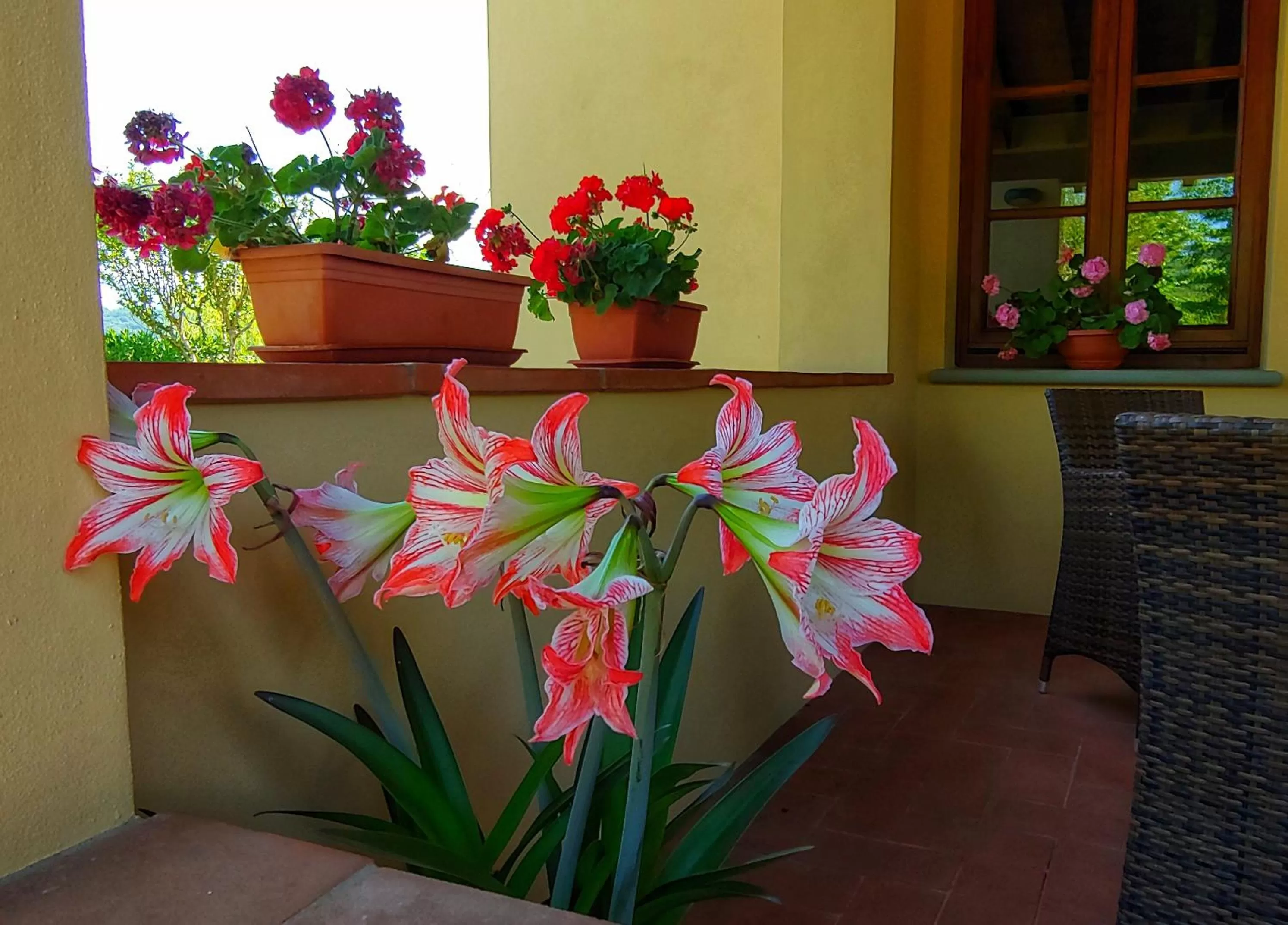Decorative detail in Torrebianca Tuscany