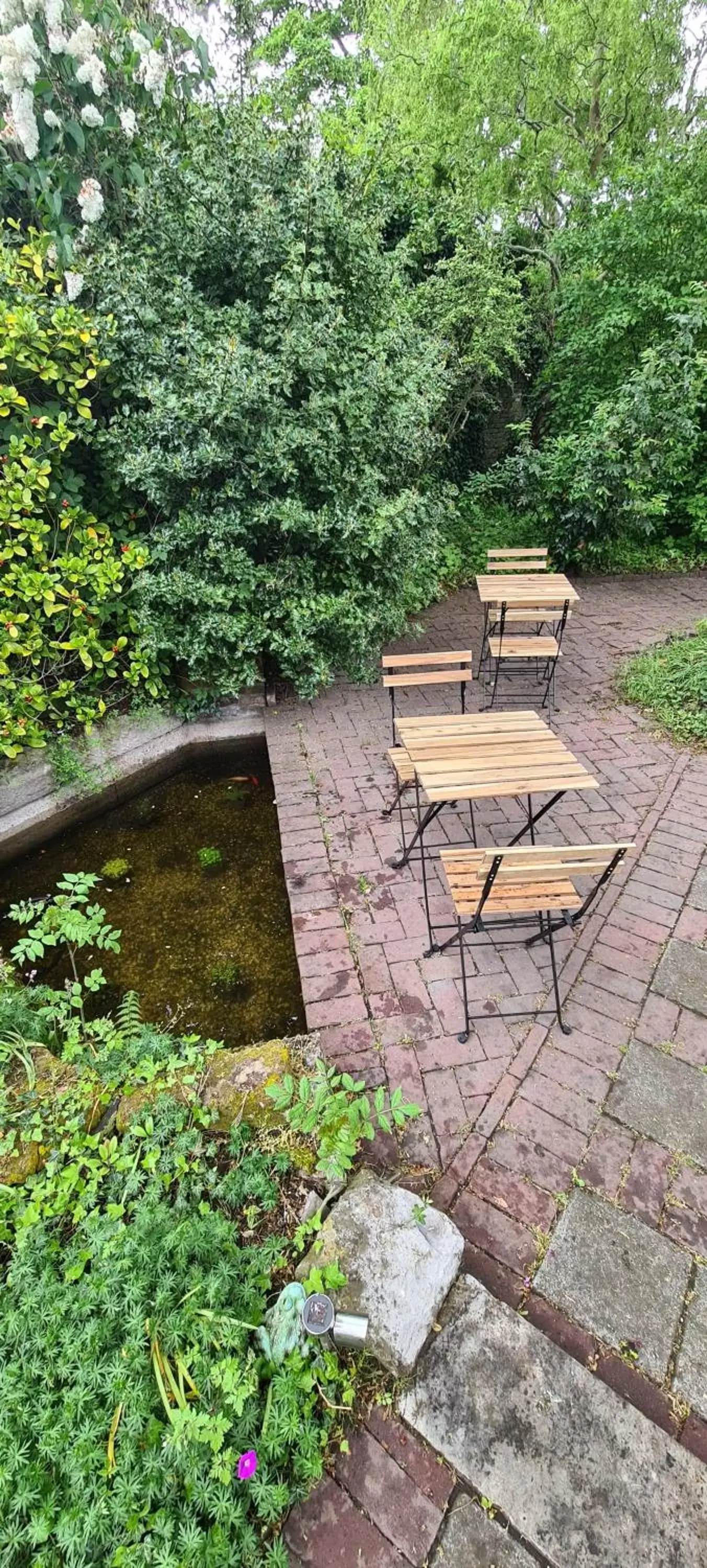 Garden in B&B Willem II