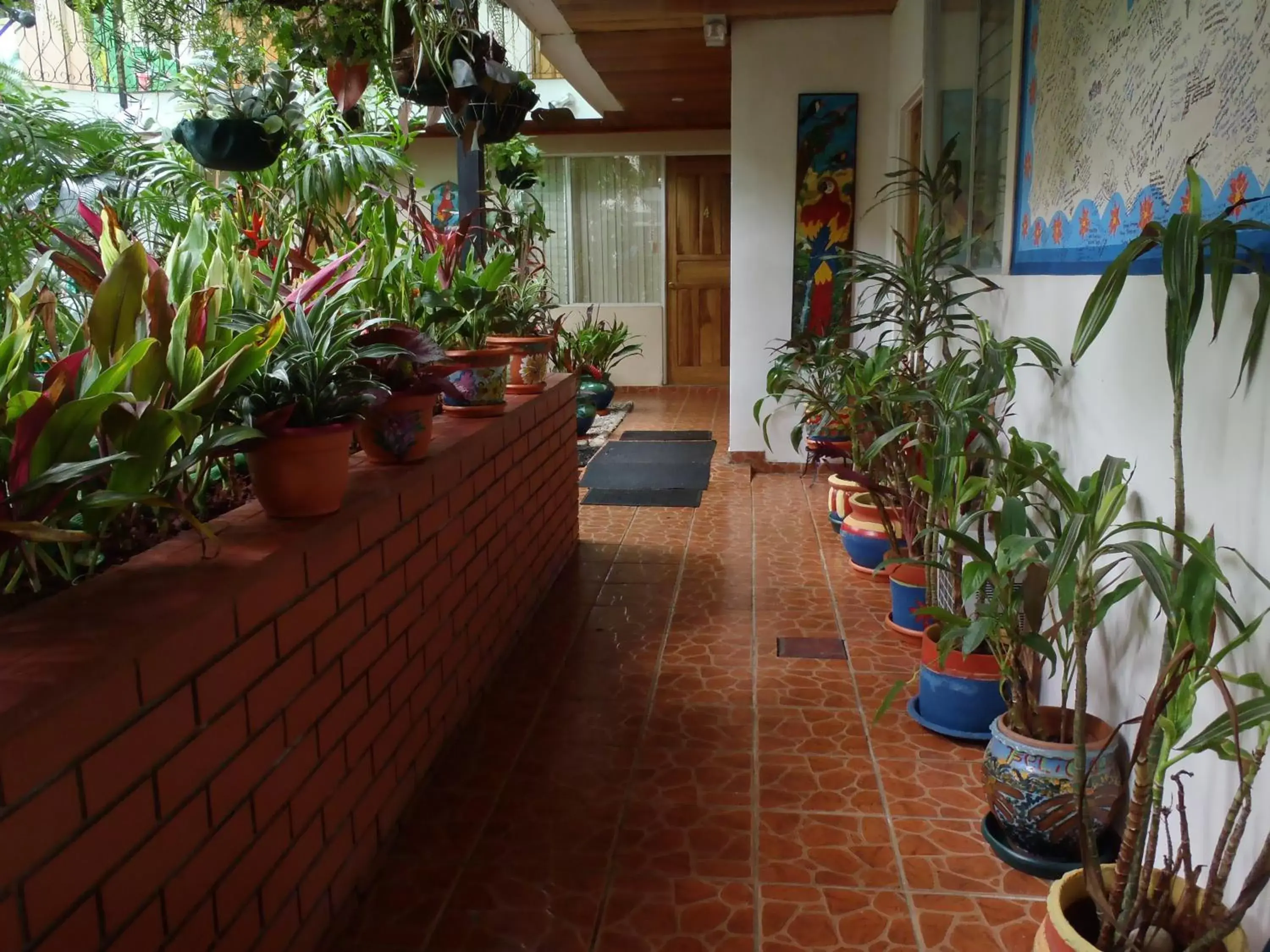 Balcony/Terrace in Casa Lima B&B