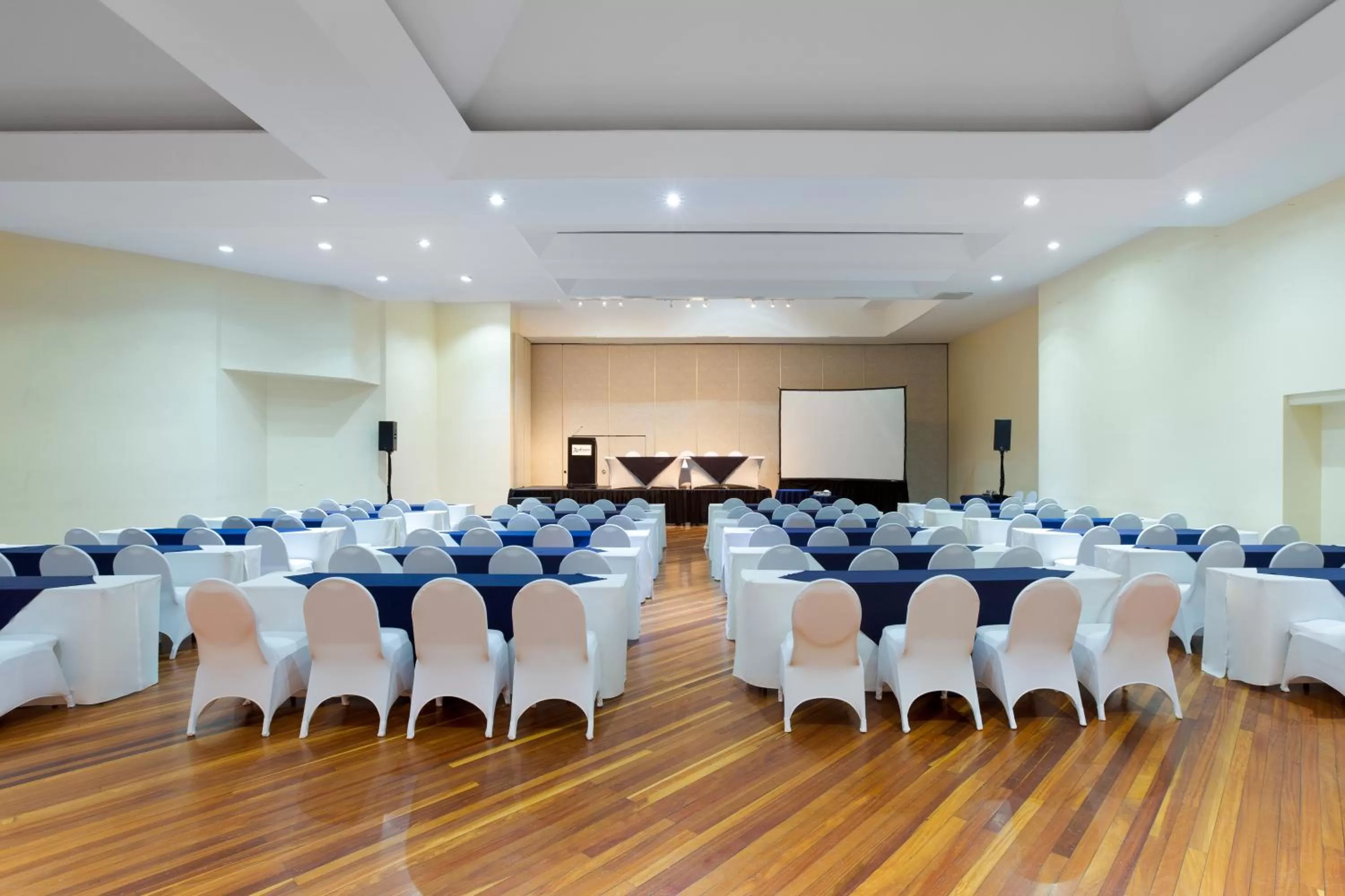 Business facilities in Radisson San Jose-Costa Rica