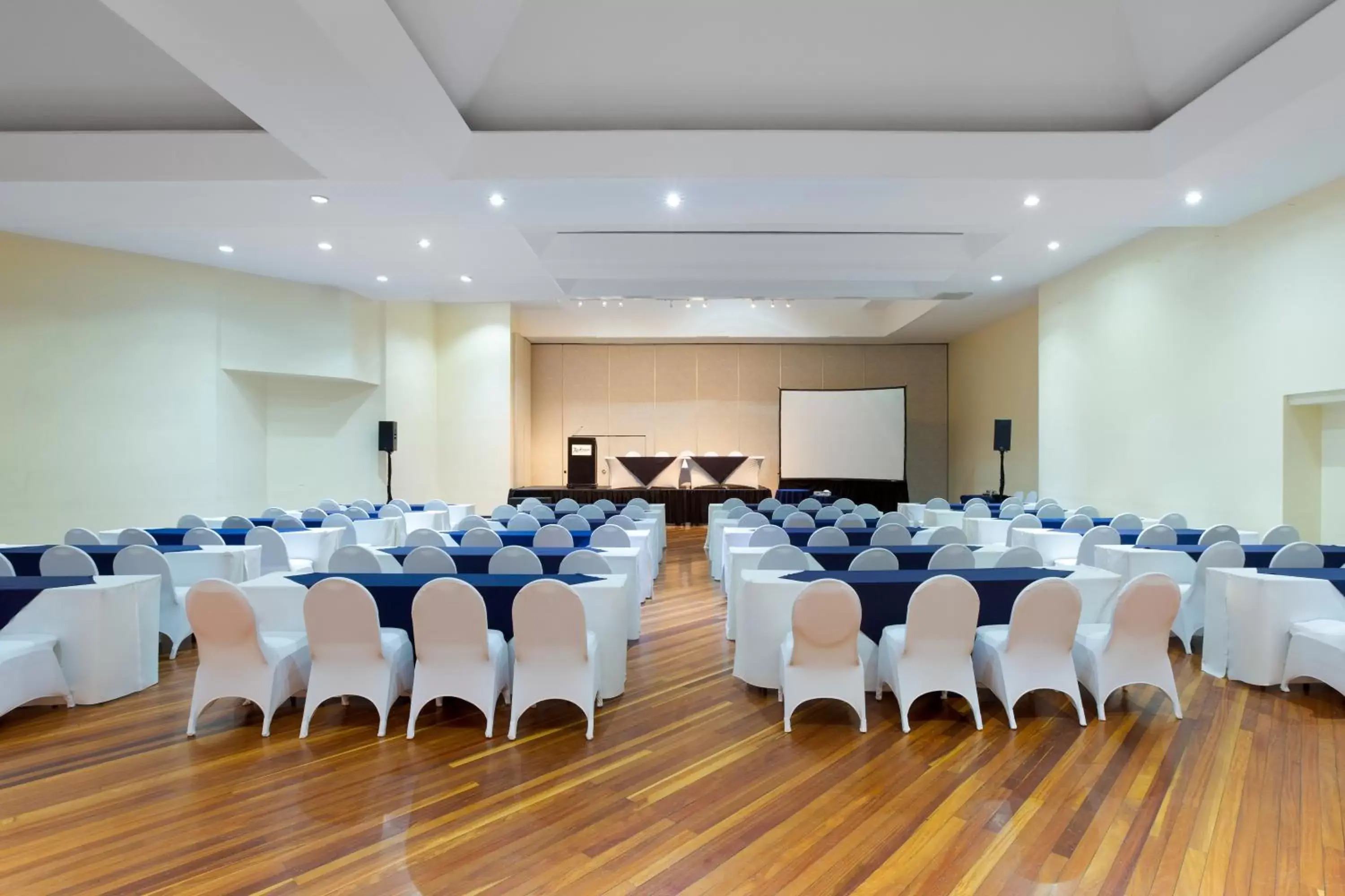 Business facilities in Radisson Hotel San Jose - Costa Rica