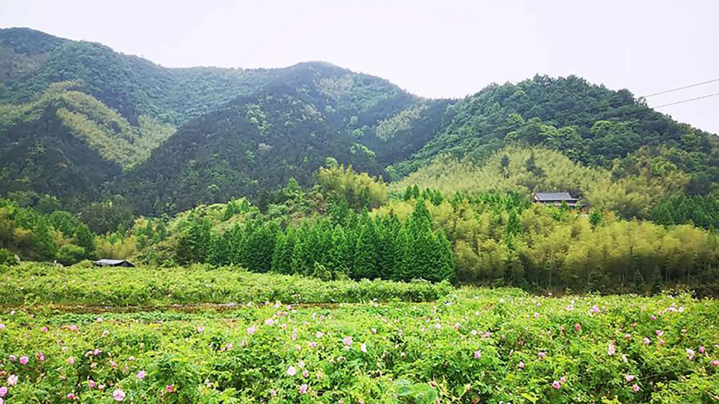 Nearby landmark, Natural Landscape in Crowne Plaza Huangshan Yucheng, an IHG Hotel