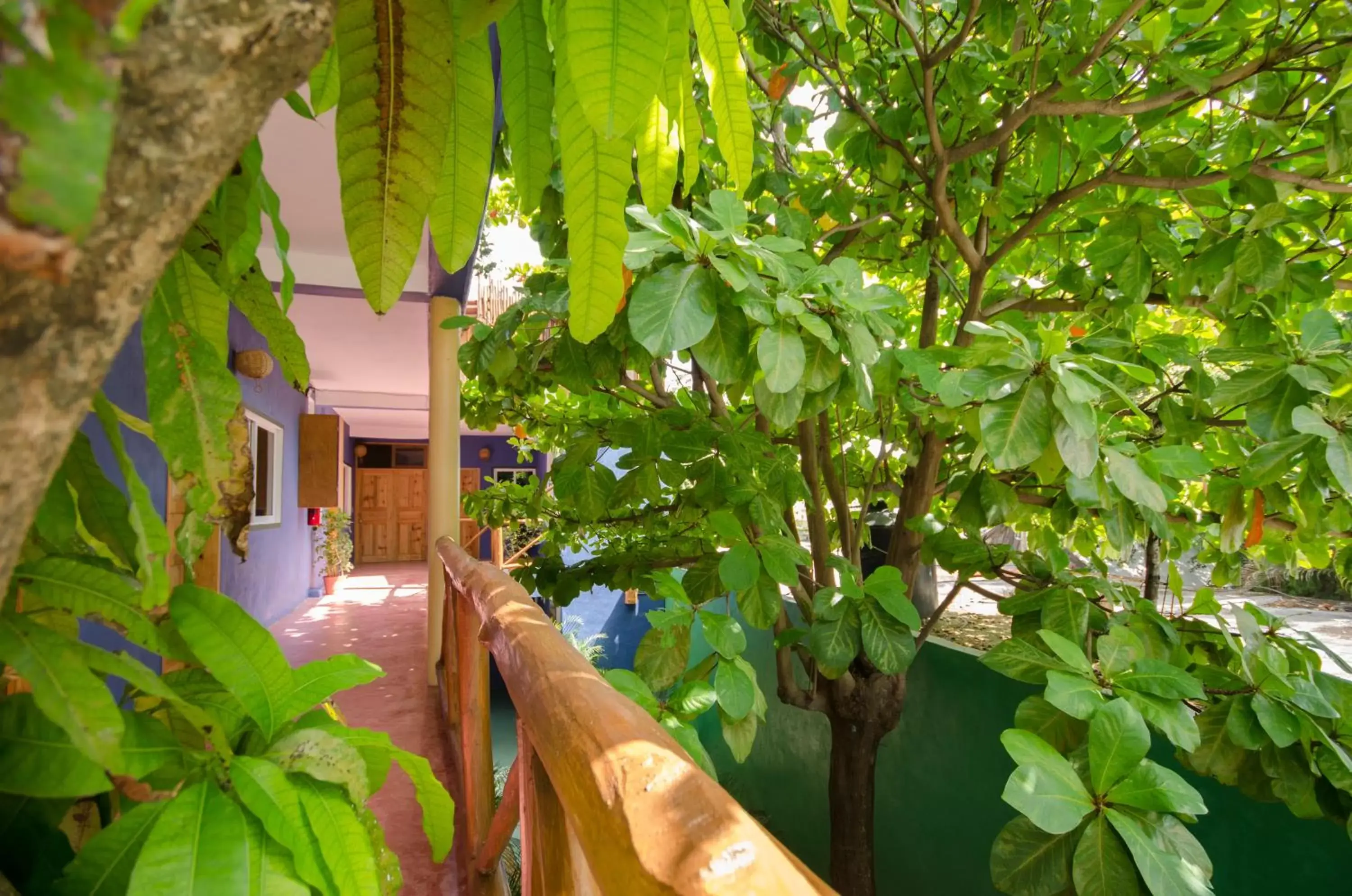 Balcony/Terrace in Casa Almendro