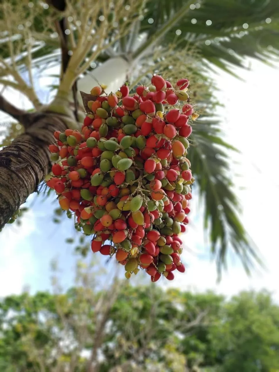 Property building in Oleajes Capurganá