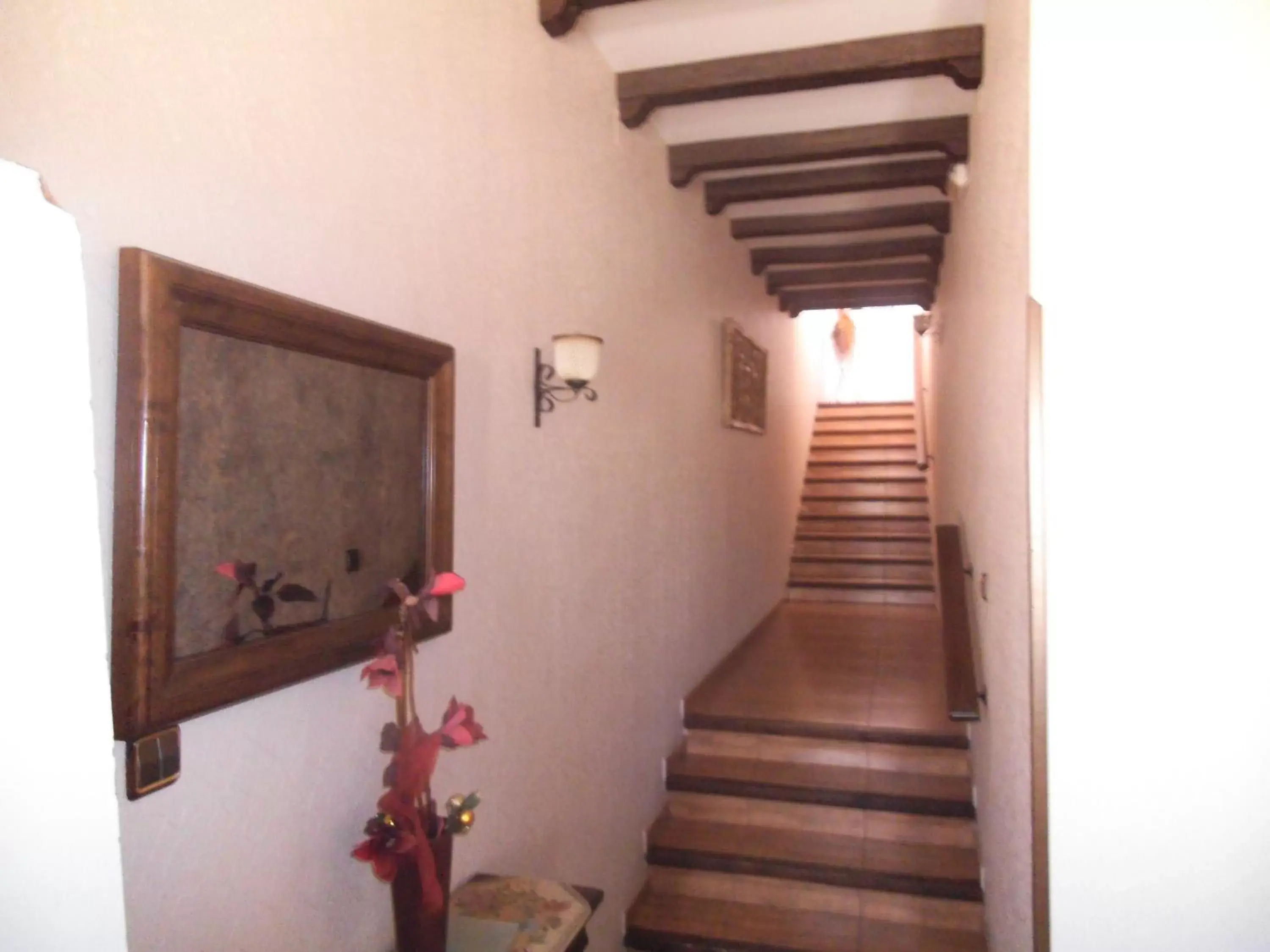 Area and facilities, TV/Entertainment Center in Hostal Los Galgos