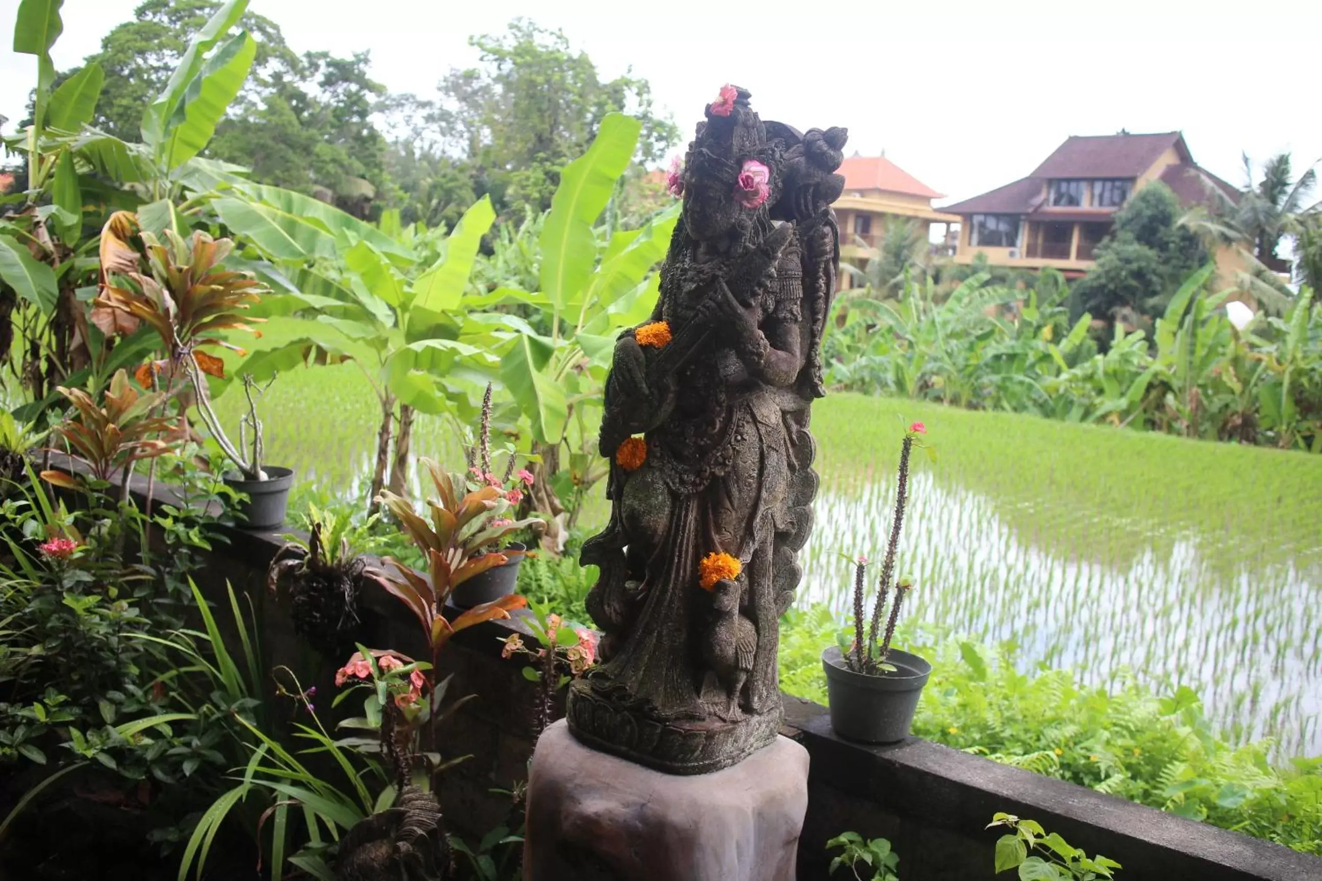 Neighbourhood, Garden in Ubud Sensasi Bungalow