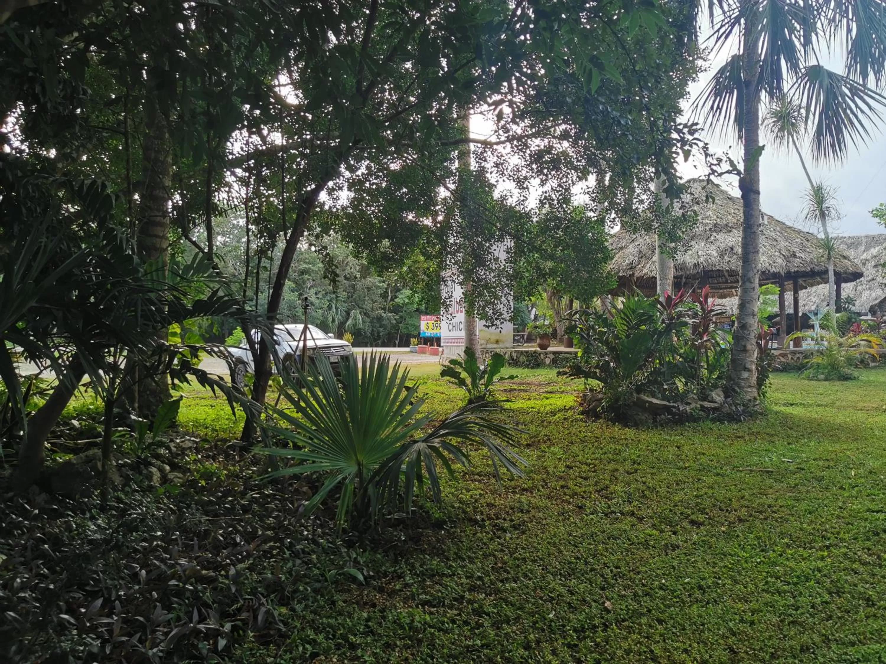 Garden in Hotel Doralba Inn Chichen