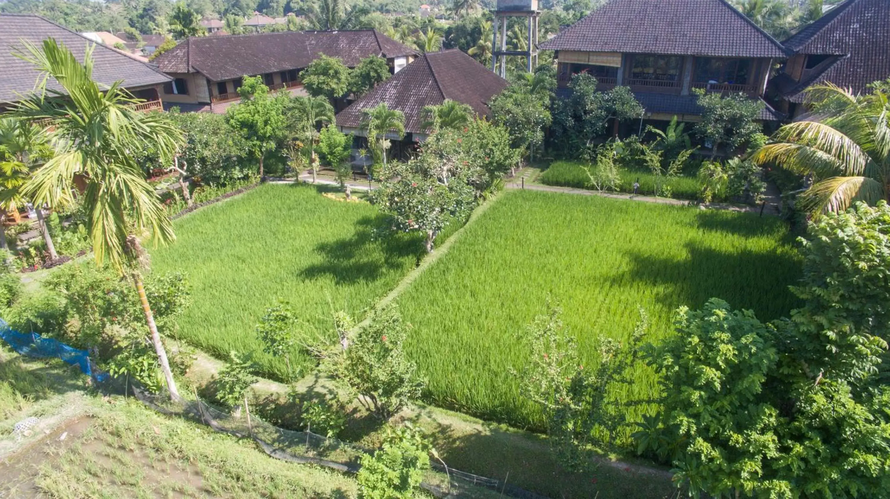 Garden in Bliss Ubud Spa Resort