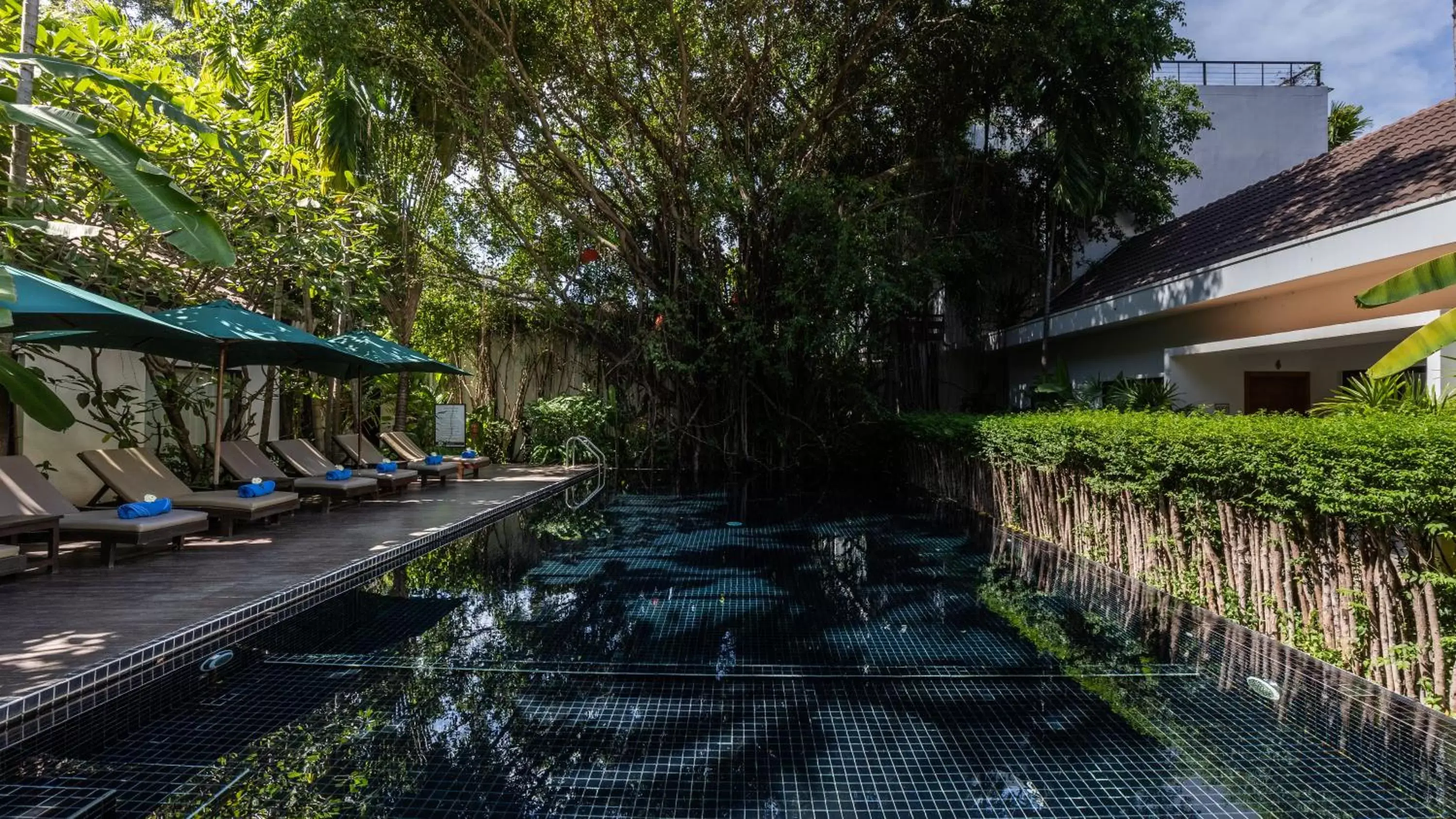 Swimming pool, Garden in Lynnaya Urban River Resort