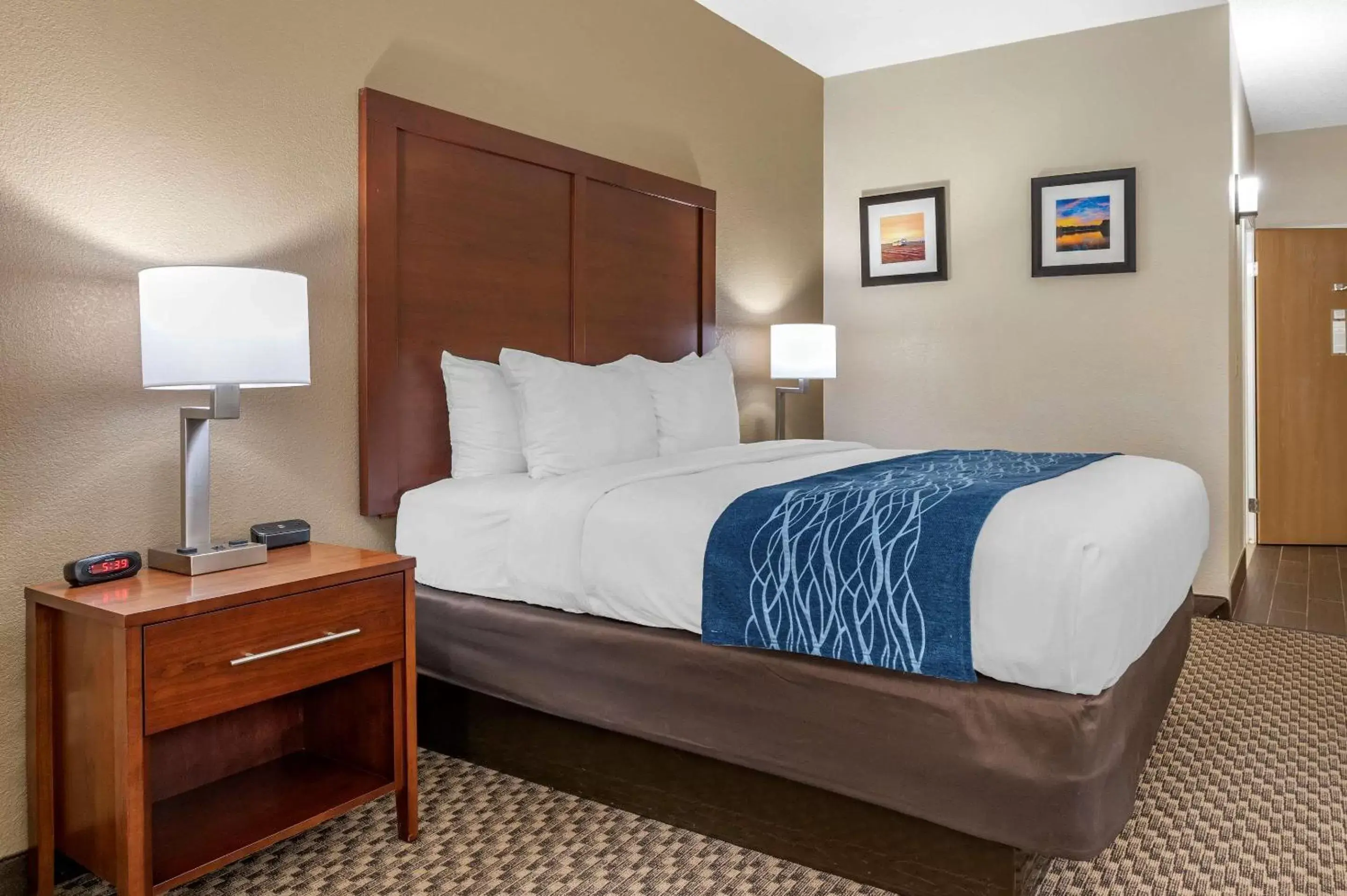 Photo of the whole room in Comfort Inn Near Kokomo Speedway