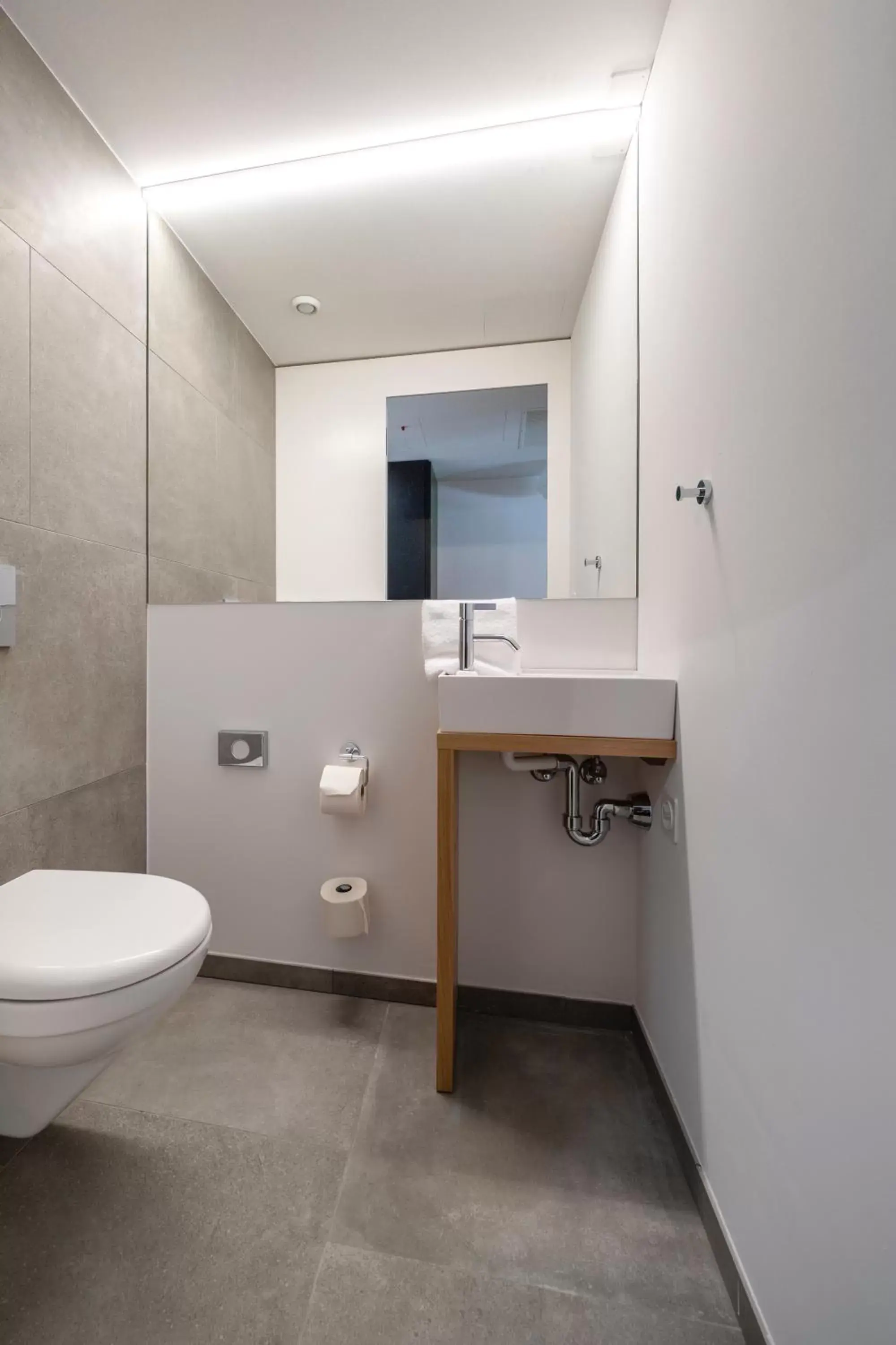 Toilet, Bathroom in Gast - und Kulturhaus Der Teufelhof Basel