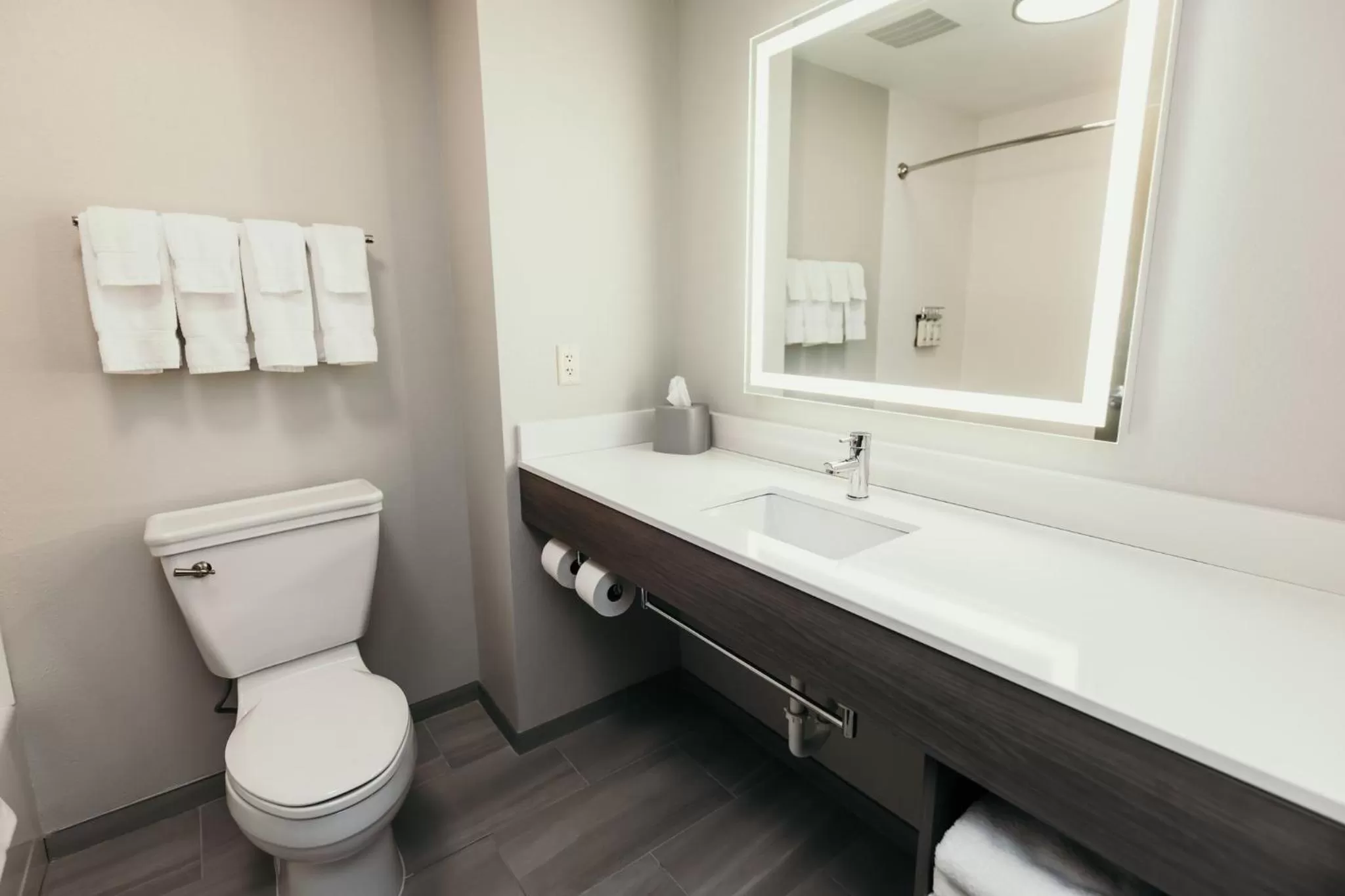 Bathroom in Holiday Inn Express and Suites Urbandale Des Moines by IHG