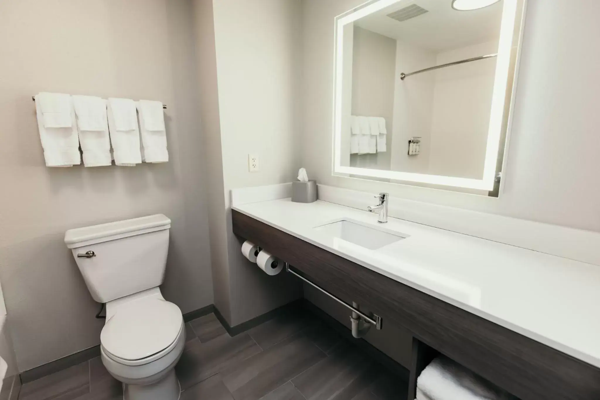 Bathroom in Holiday Inn Express and Suites Urbandale Des Moines, an IHG Hotel