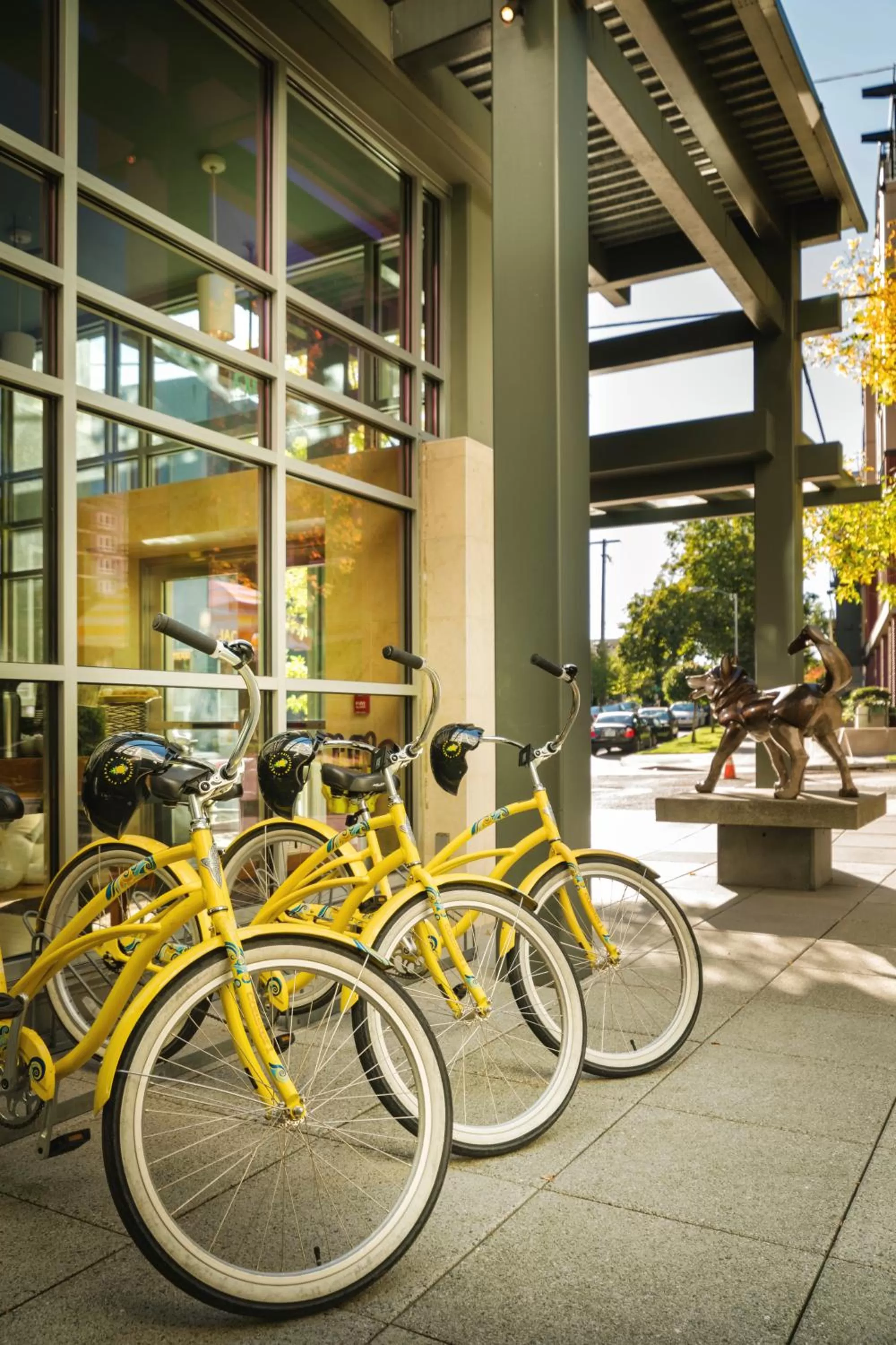 Cycling in Staypineapple, Watertown Hotel, University District Seattle
