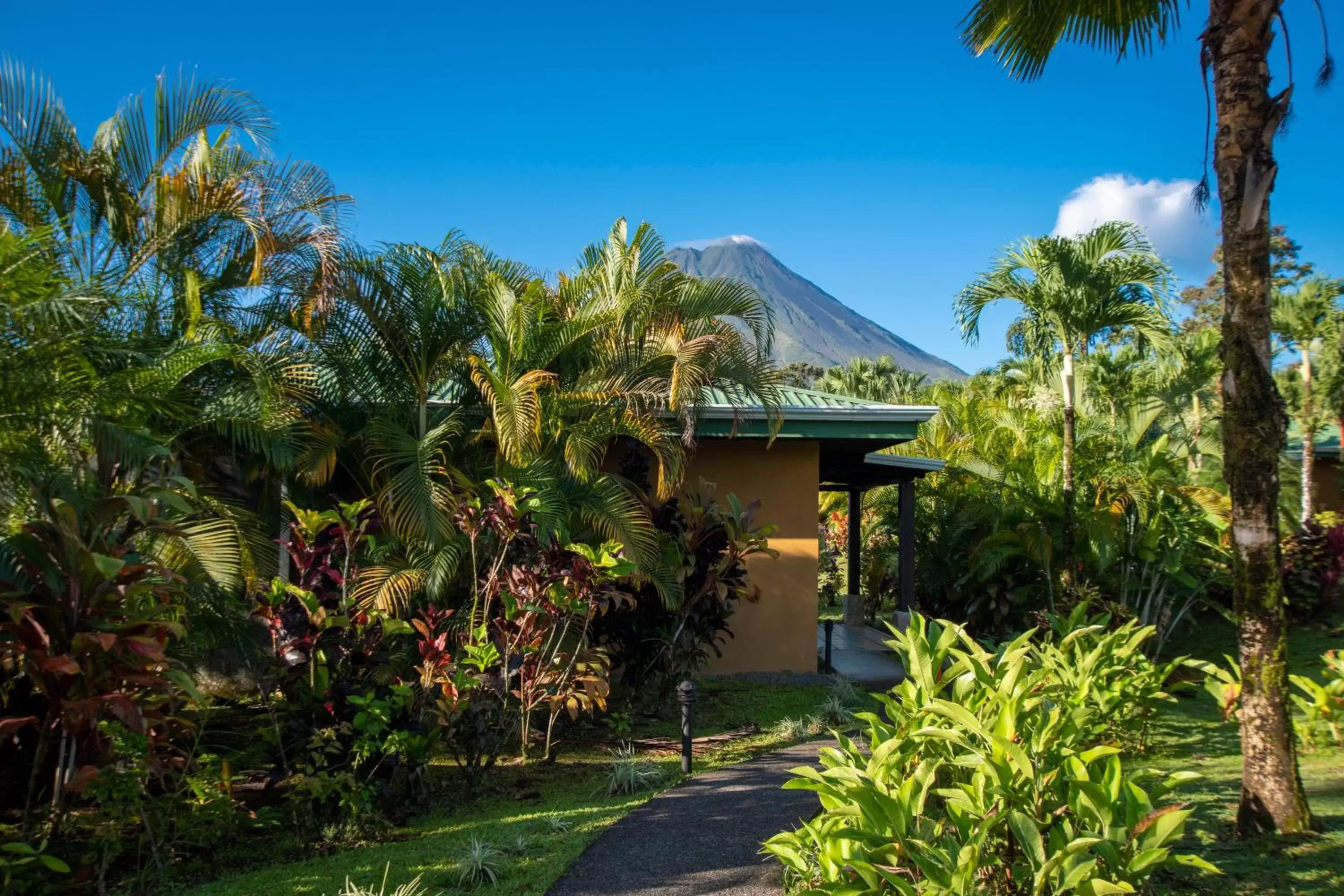 Property Building in Arenal Manoa Resort & Hot Springs