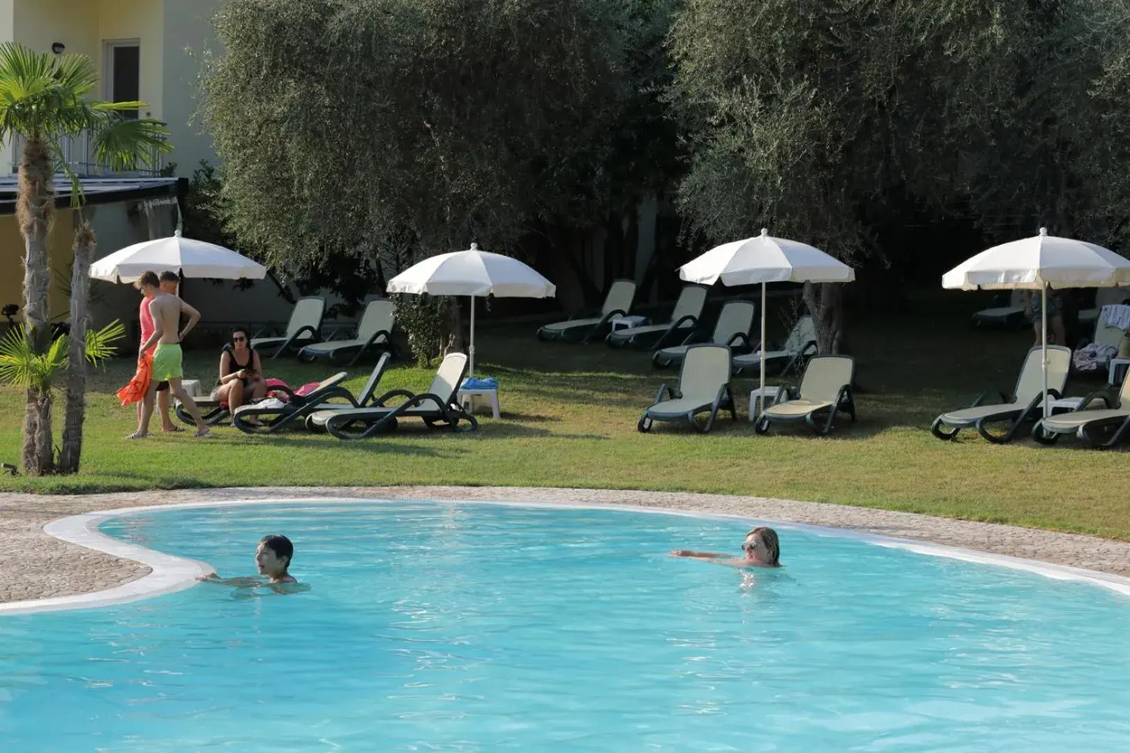 Garden, Swimming Pool in Hotel Benacus Malcesine