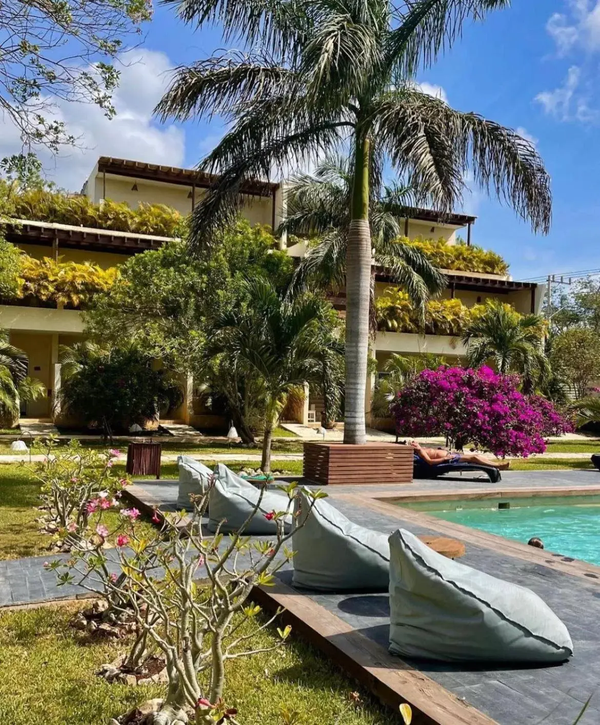 Patio, Swimming Pool in XscapeTulum