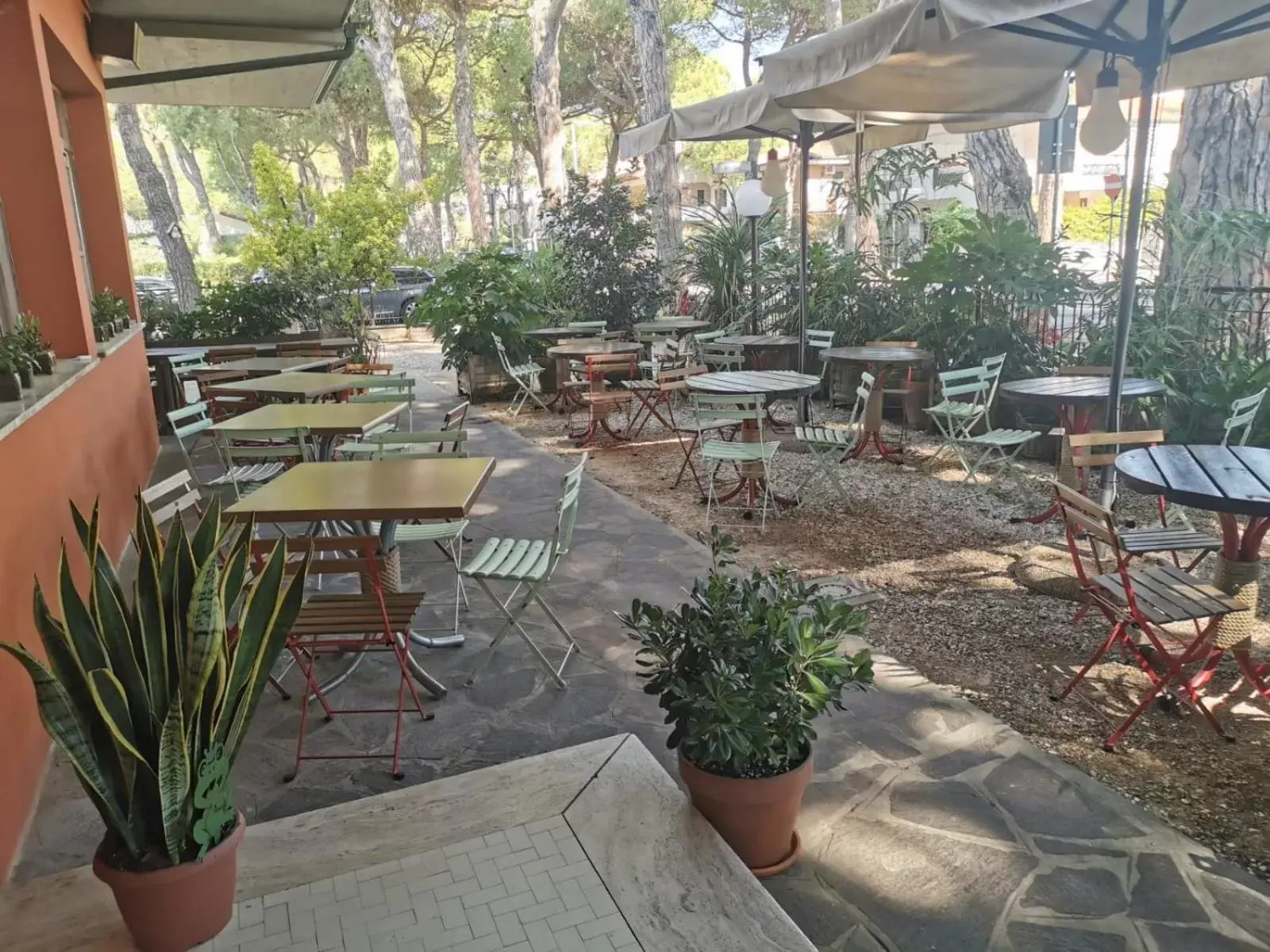 Garden, Restaurant/Places to Eat in Casa Dorita