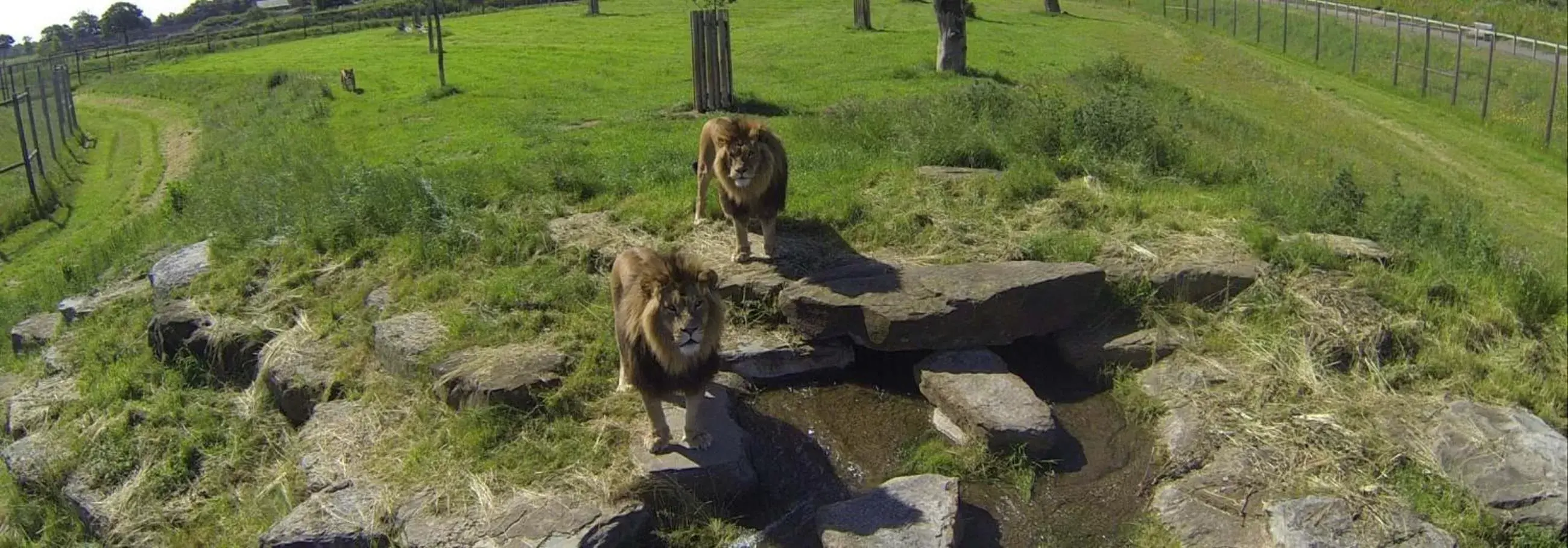 Nearby landmark in Hex Wildlife Hotel at Yorkshire Wildlife Park