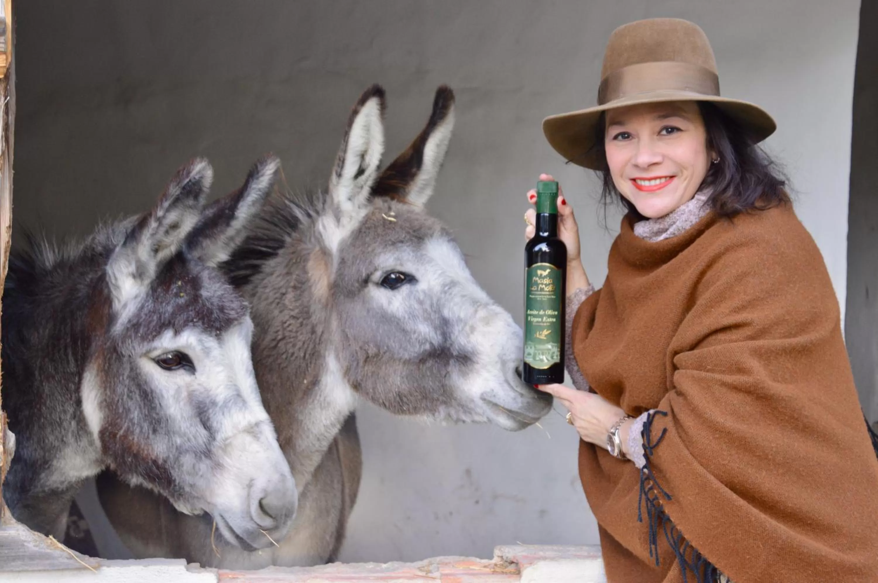 Autumn in Eco Hotel con encanto Masía la Mota B&B