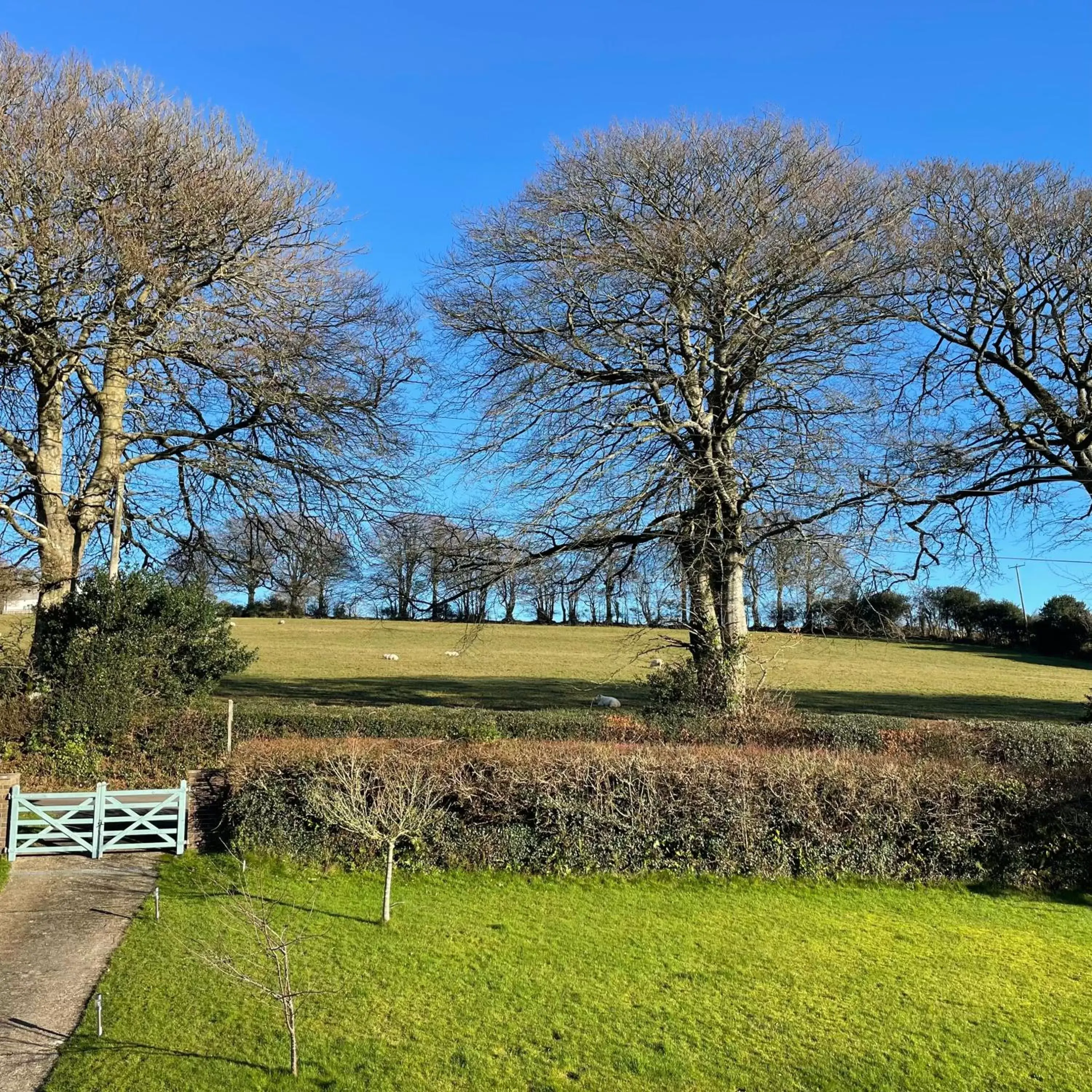 Natural landscape in Nettle Bank