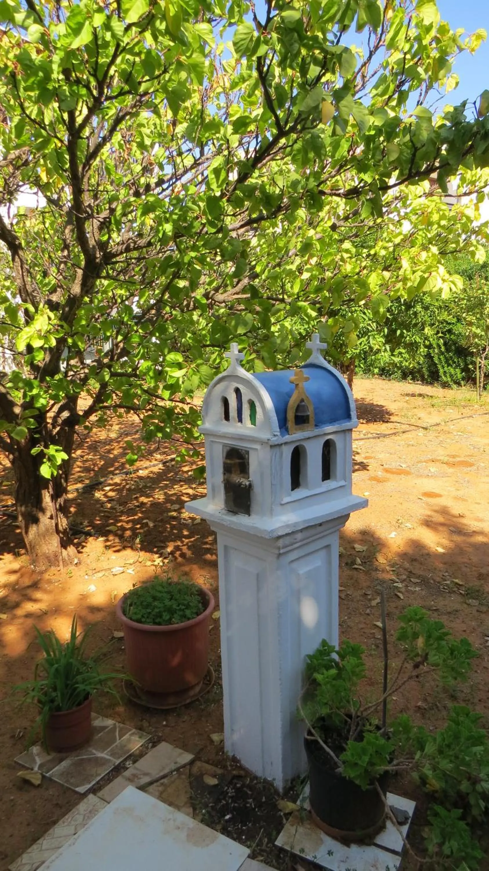 Garden in Villa Medusa