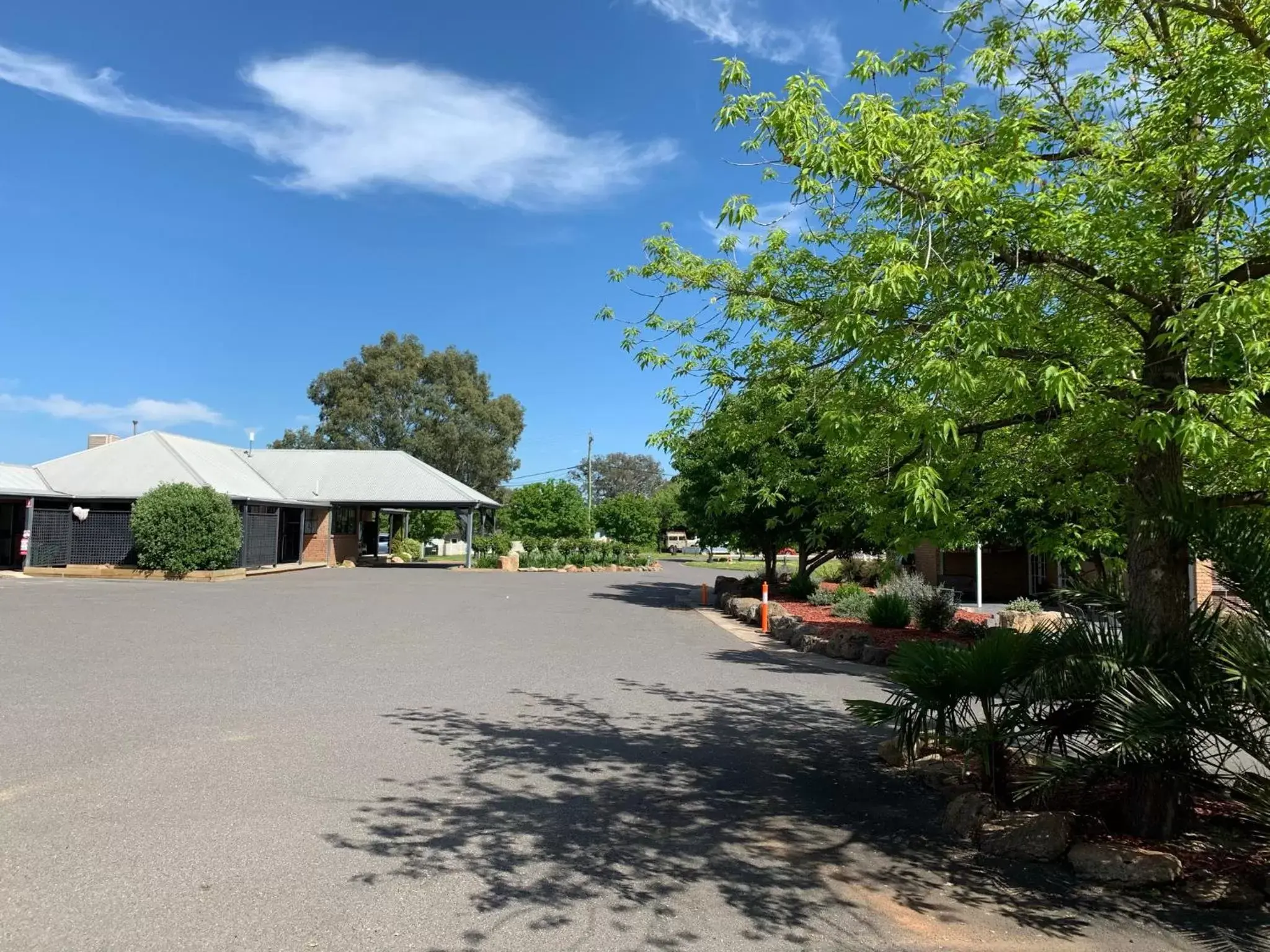 Garden, Property Building in Swaggers Motor Inn