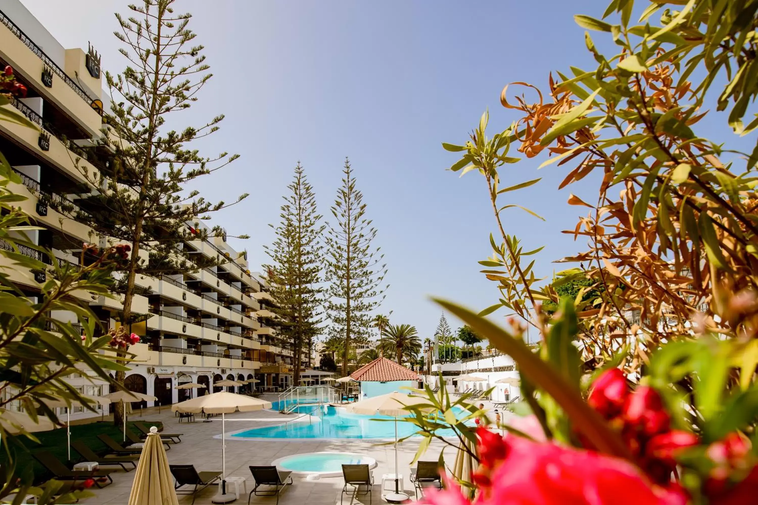 Garden view, Swimming Pool in Rey Carlos