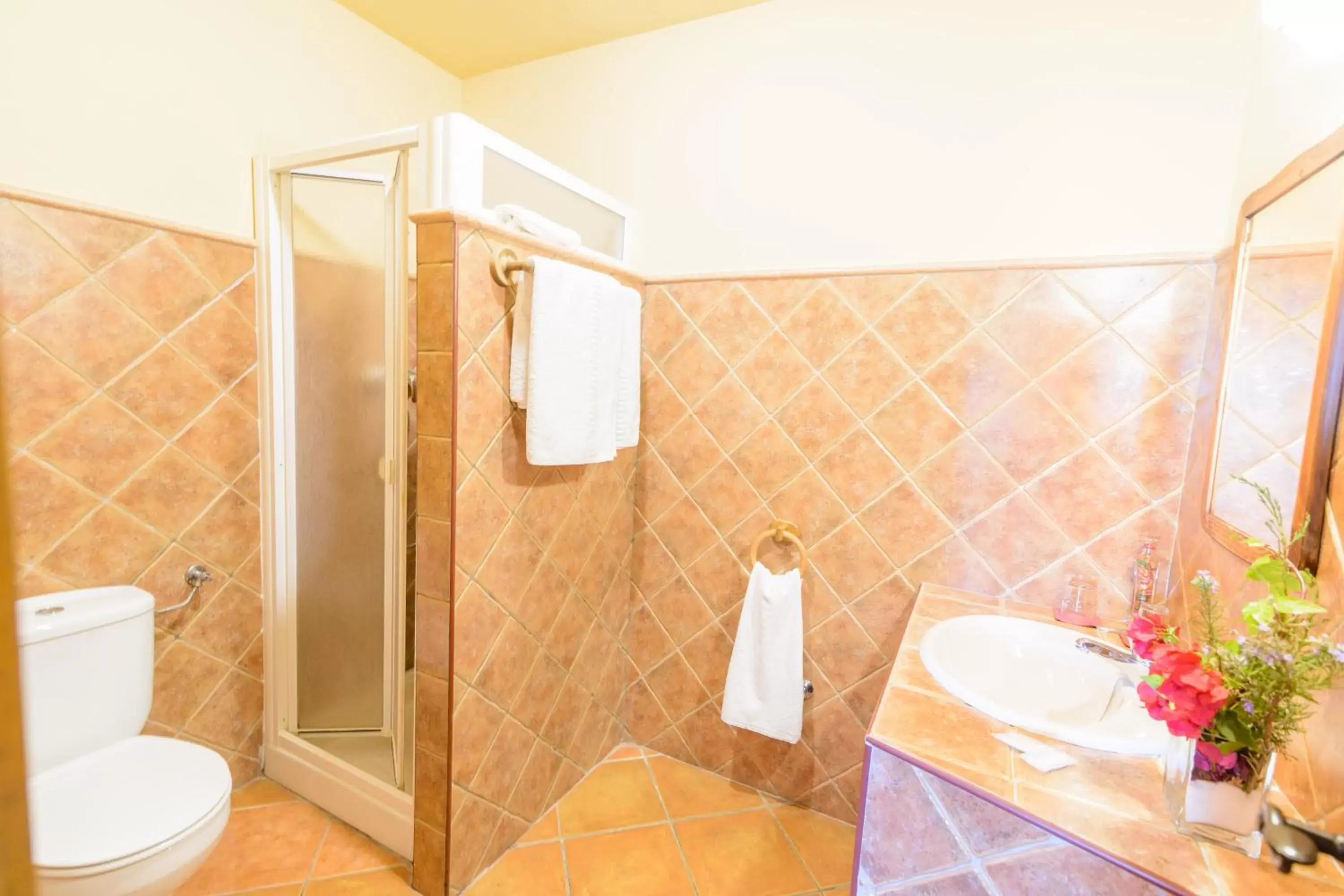 Bathroom in Hotel Rural Sierra Tejeda