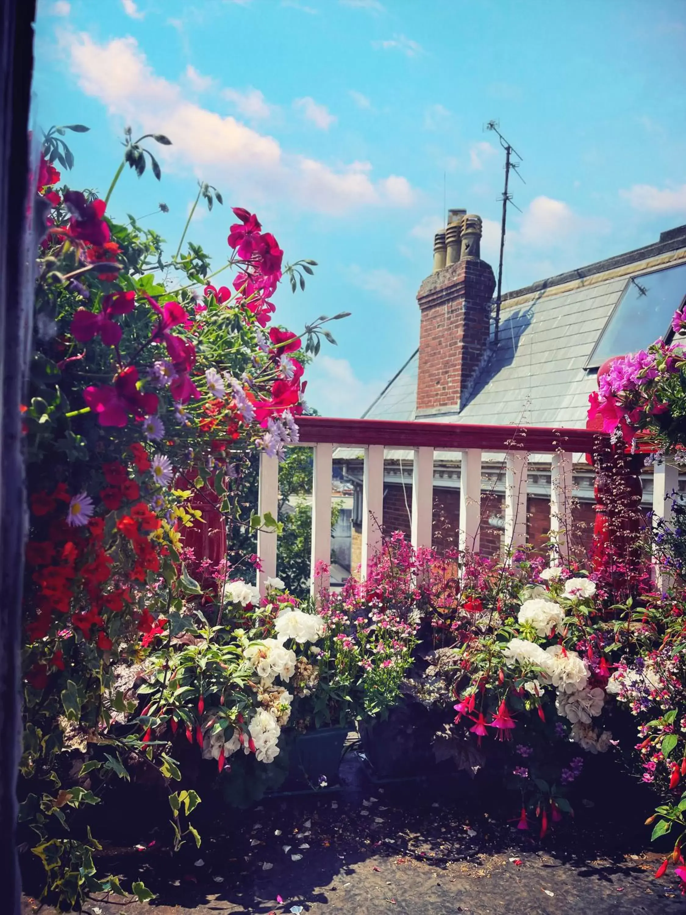 Garden view, Property Building in The Robin Hill