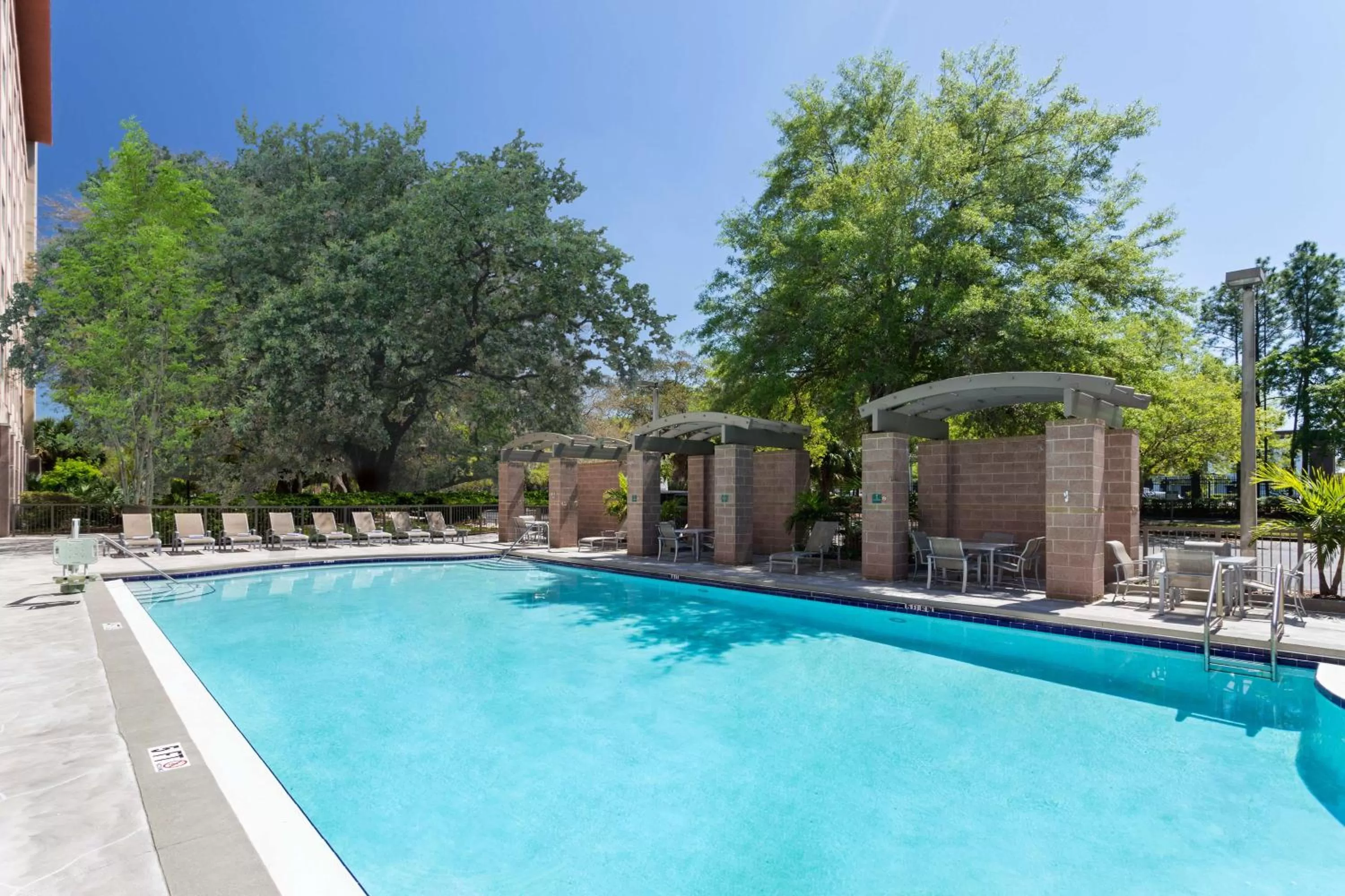 Pool view in Embassy Suites by Hilton Tampa USF Near Busch Gardens
