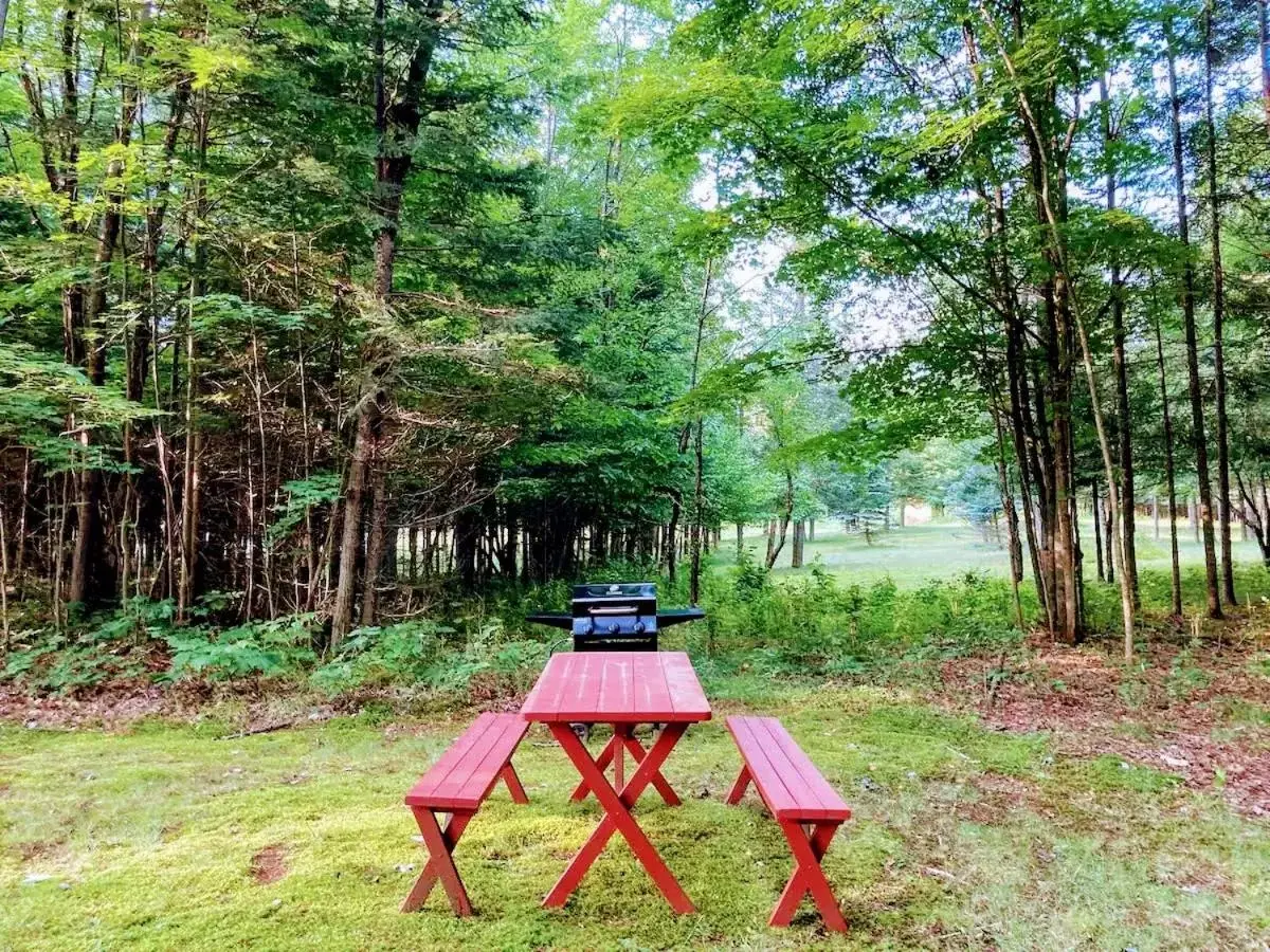 BBQ facilities in The Lorca Adirondacks Motel