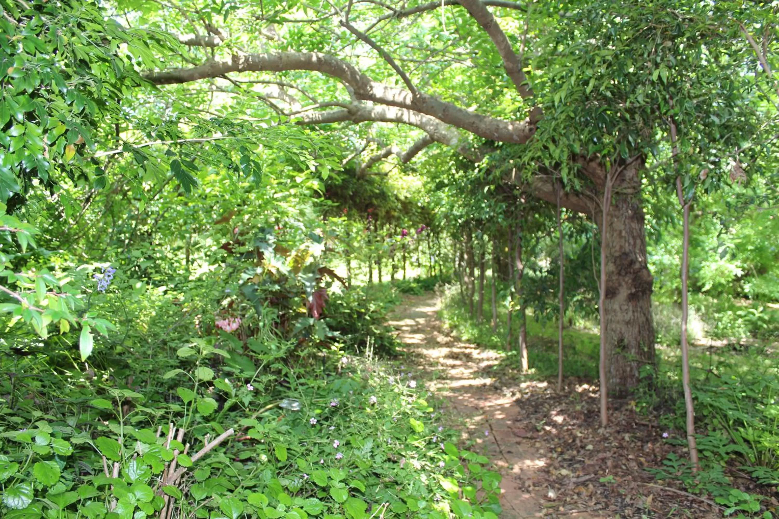 Garden in Storey Grange