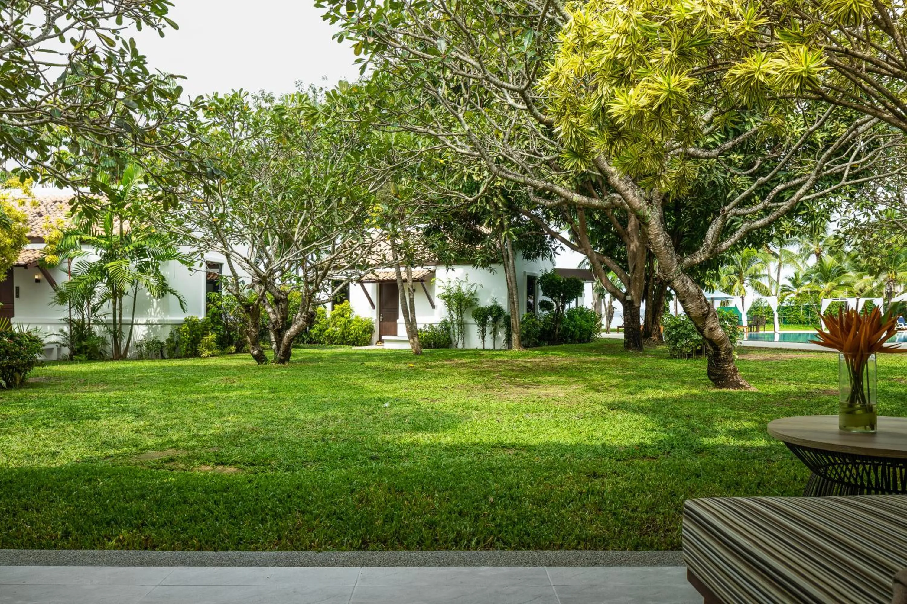 Garden in Celes Samui