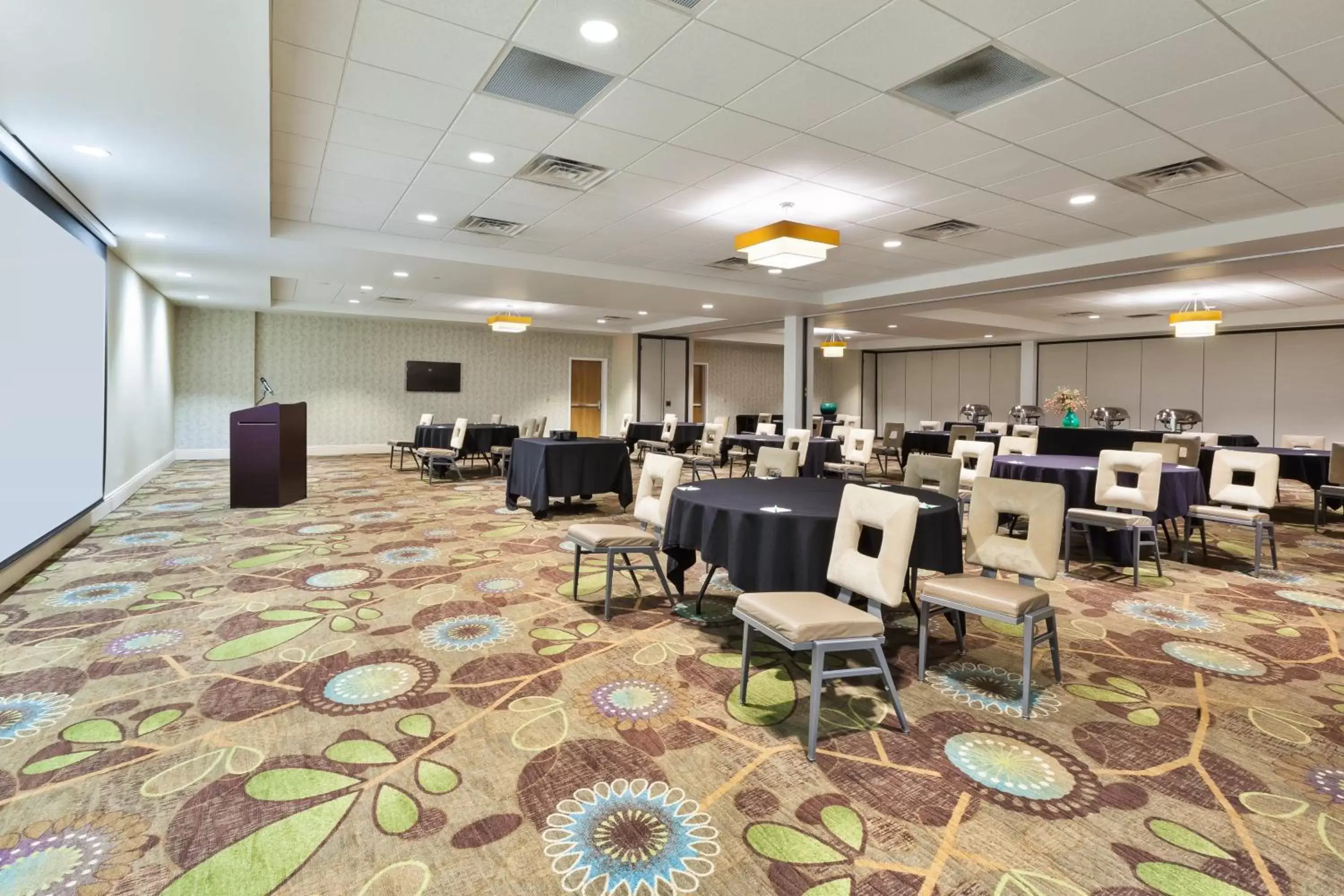 Meeting/conference room in Holiday Inn Morgantown-University Area, an IHG Hotel