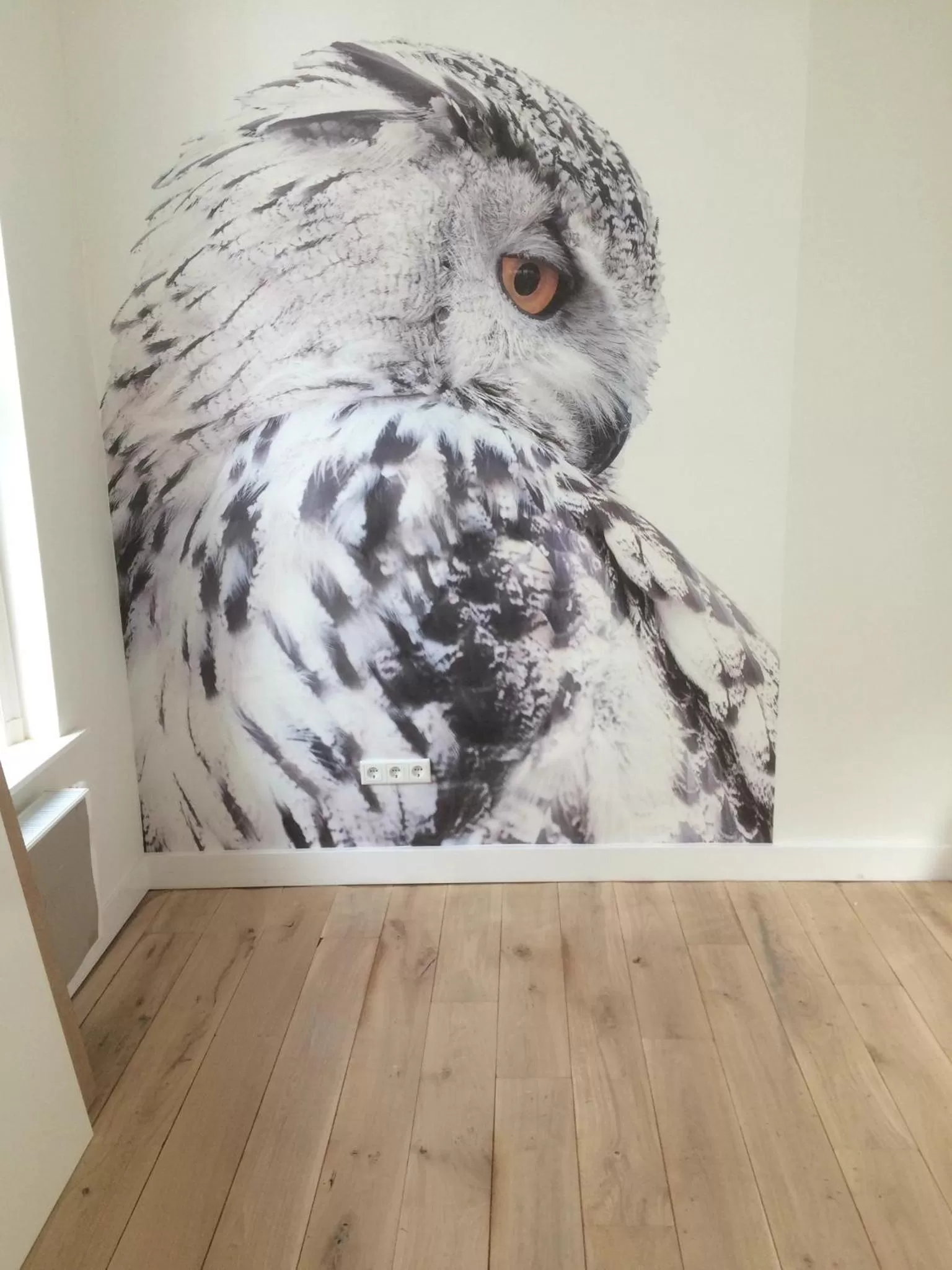 Decorative detail, Other Animals in Boetiek Hotel Kampen