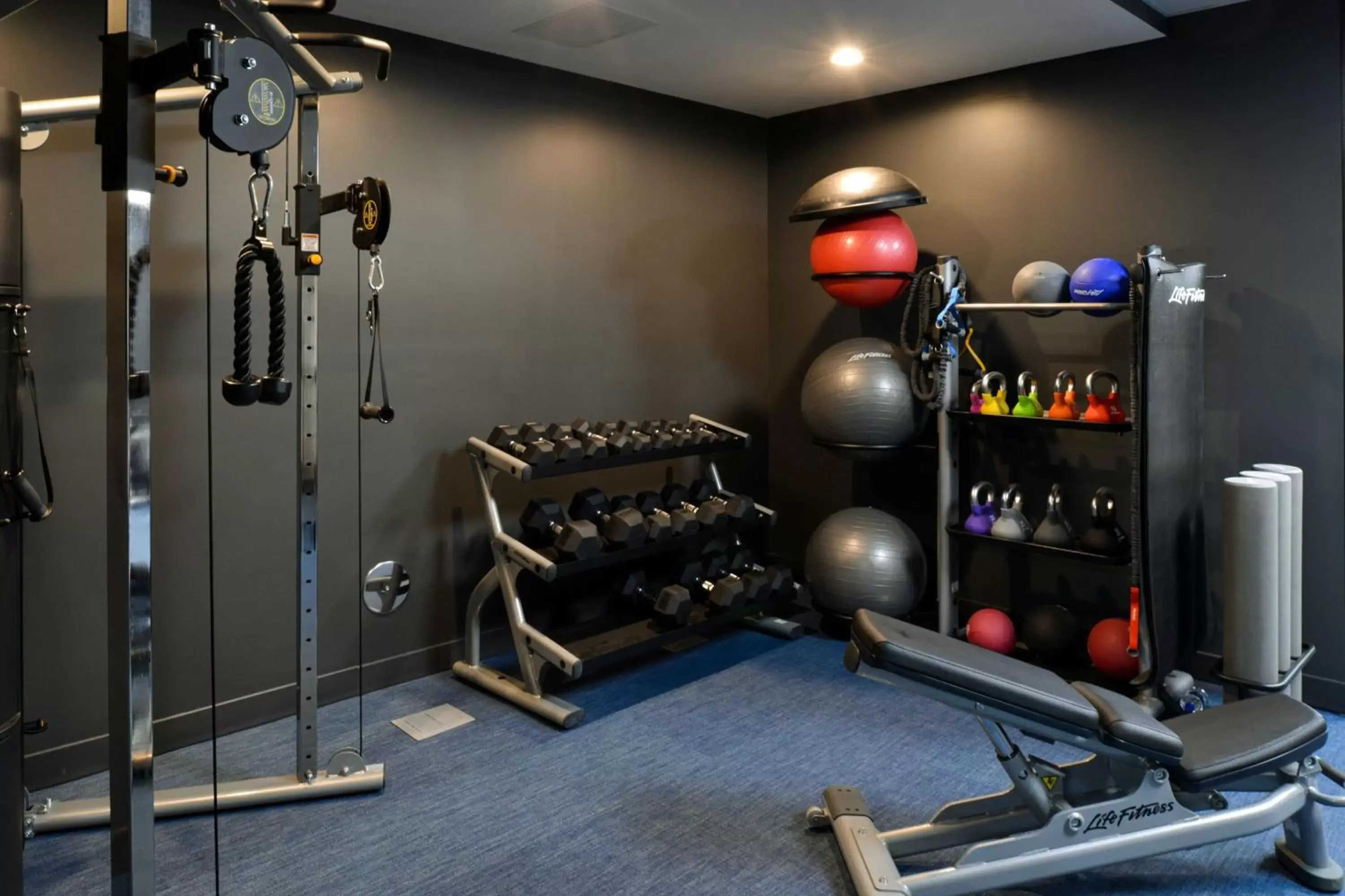 Fitness centre/facilities, Fitness Center/Facilities in TownePlace Suites by Marriott Asheville Downtown
